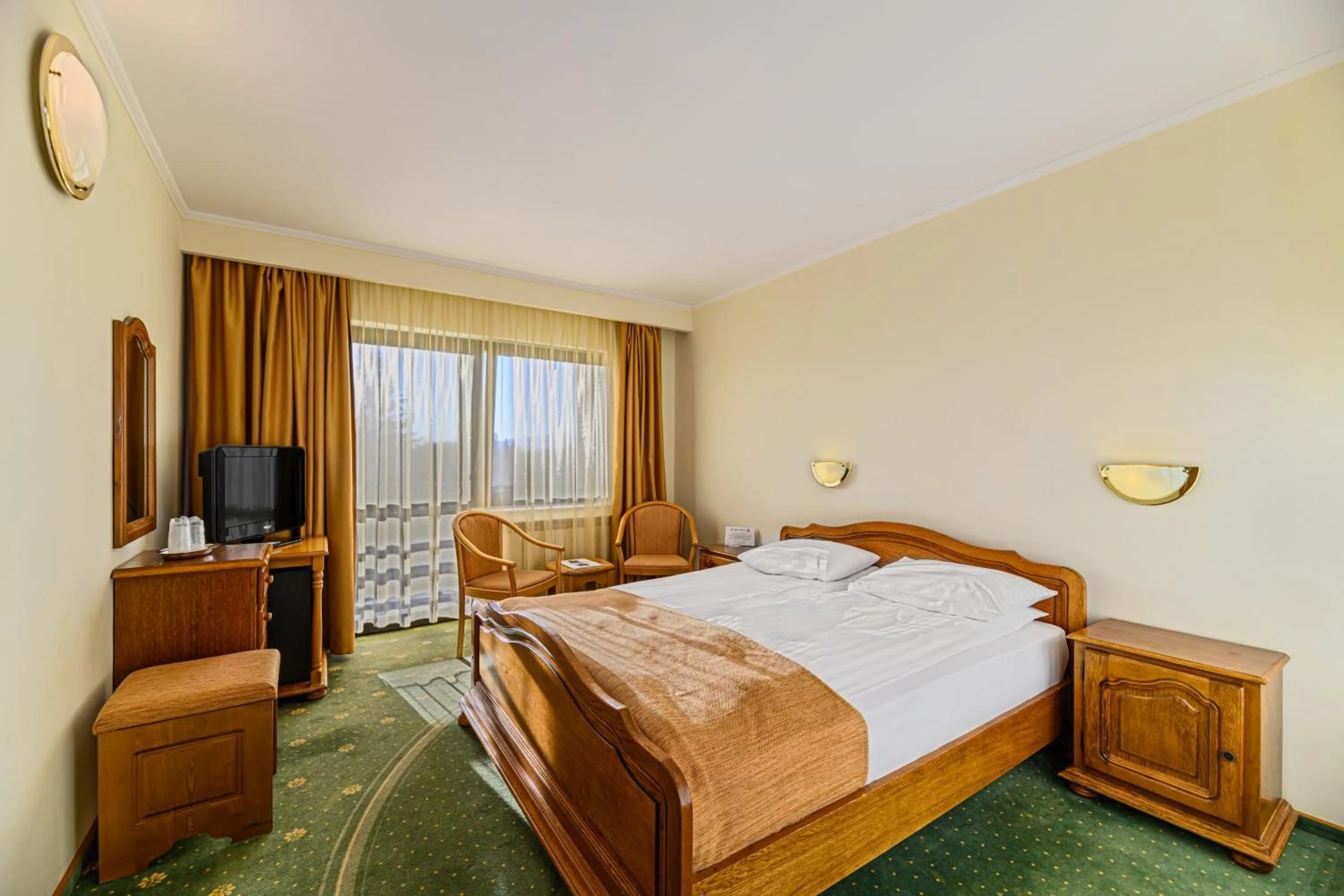 Standard Double Room with Jacuzzi Access in Hotel Casa Viorel jacuzzi & saunas