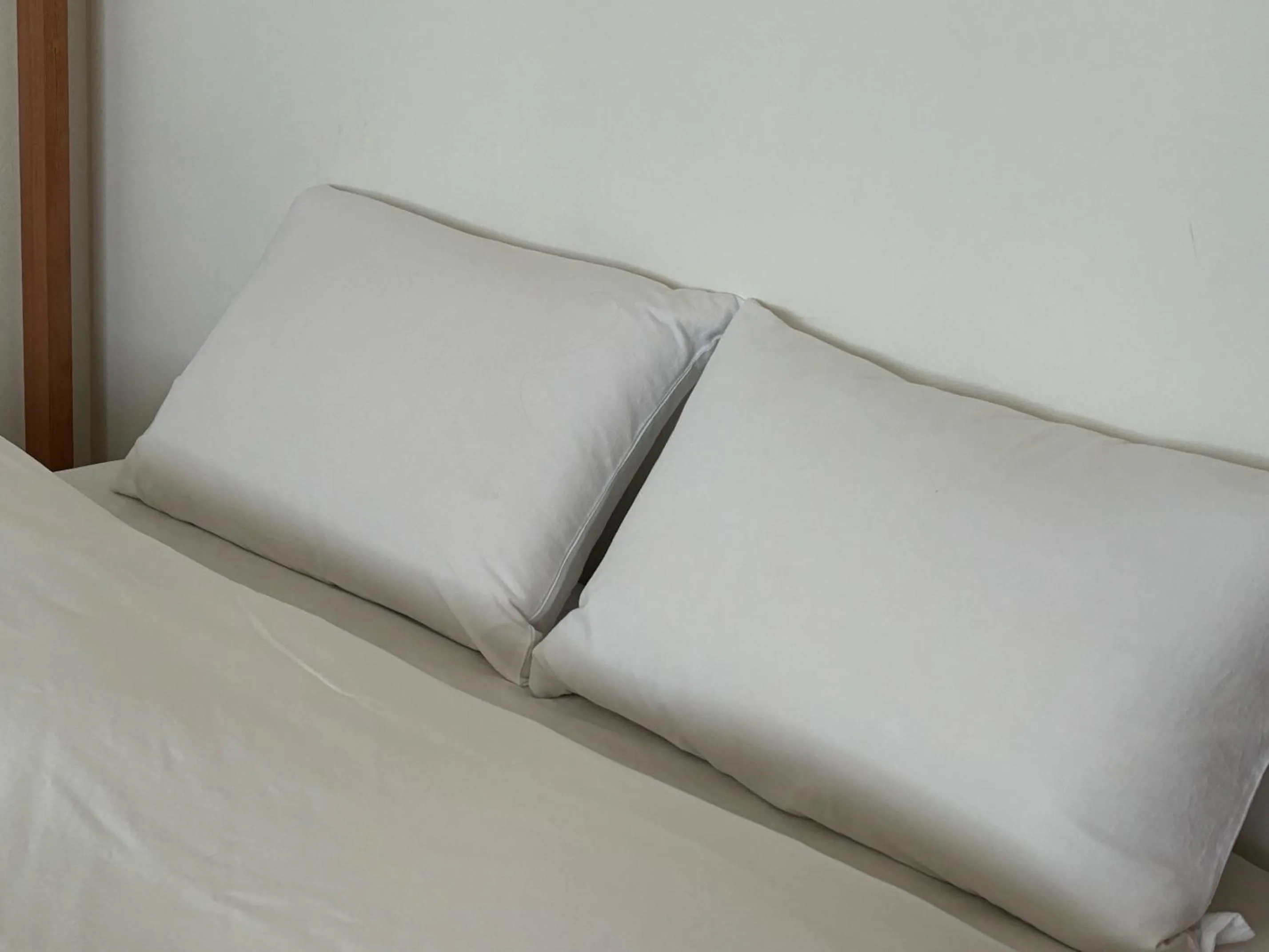 Double Room in Hostel Mt. Fuji - FUKUYA