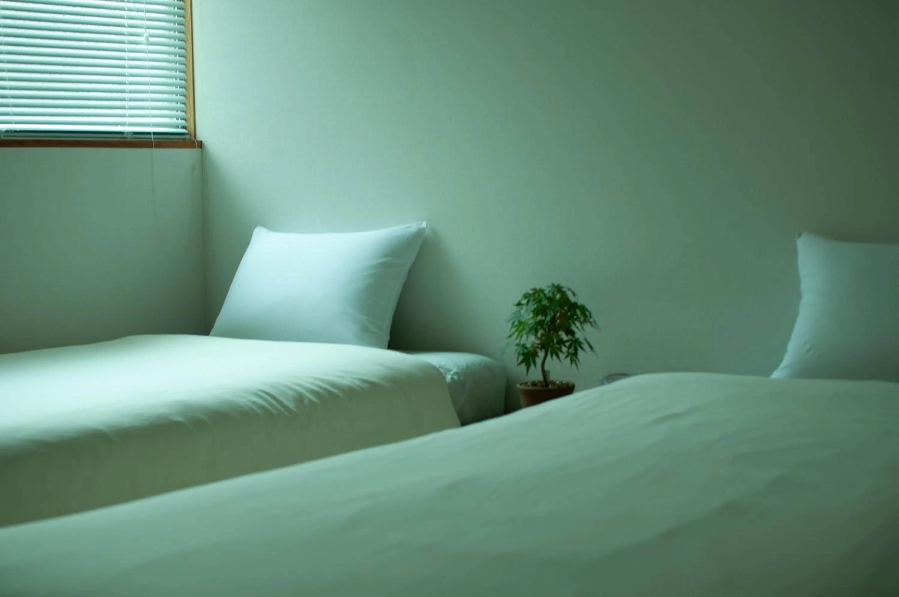 Standard Twin Room in Hostel Mt. Fuji - FUKUYA