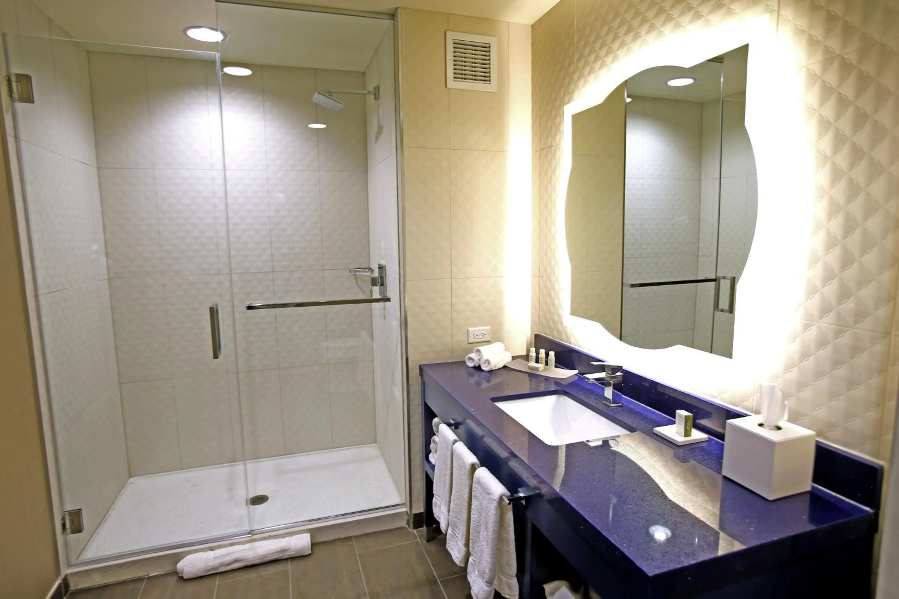 Deluxe King Room - Mobility Access Tan Shower/Non-Smoking in Hotel Indigo Naperville Riverwalk by IHG
