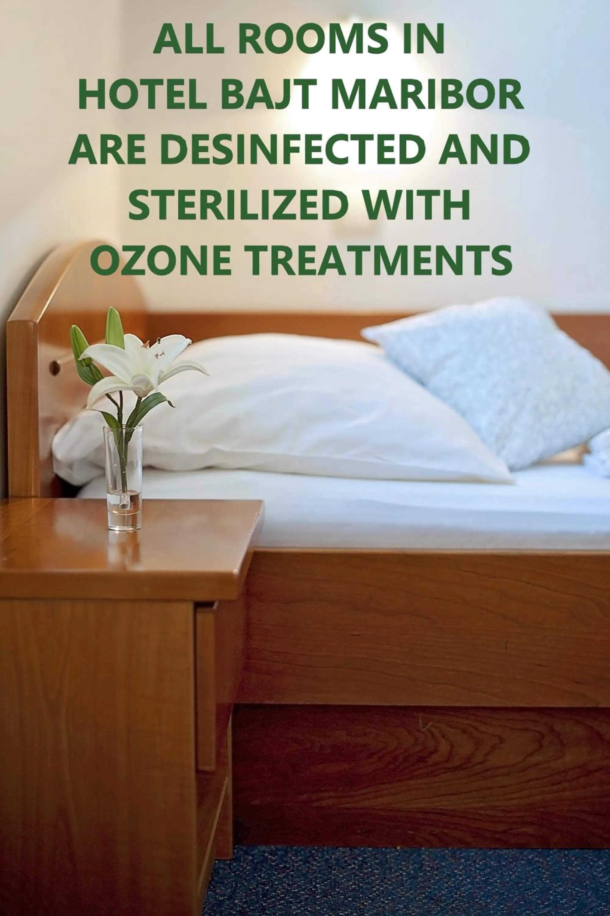 One-Bedroom Apartment (4 Adults) in Hotel Bajt Maribor