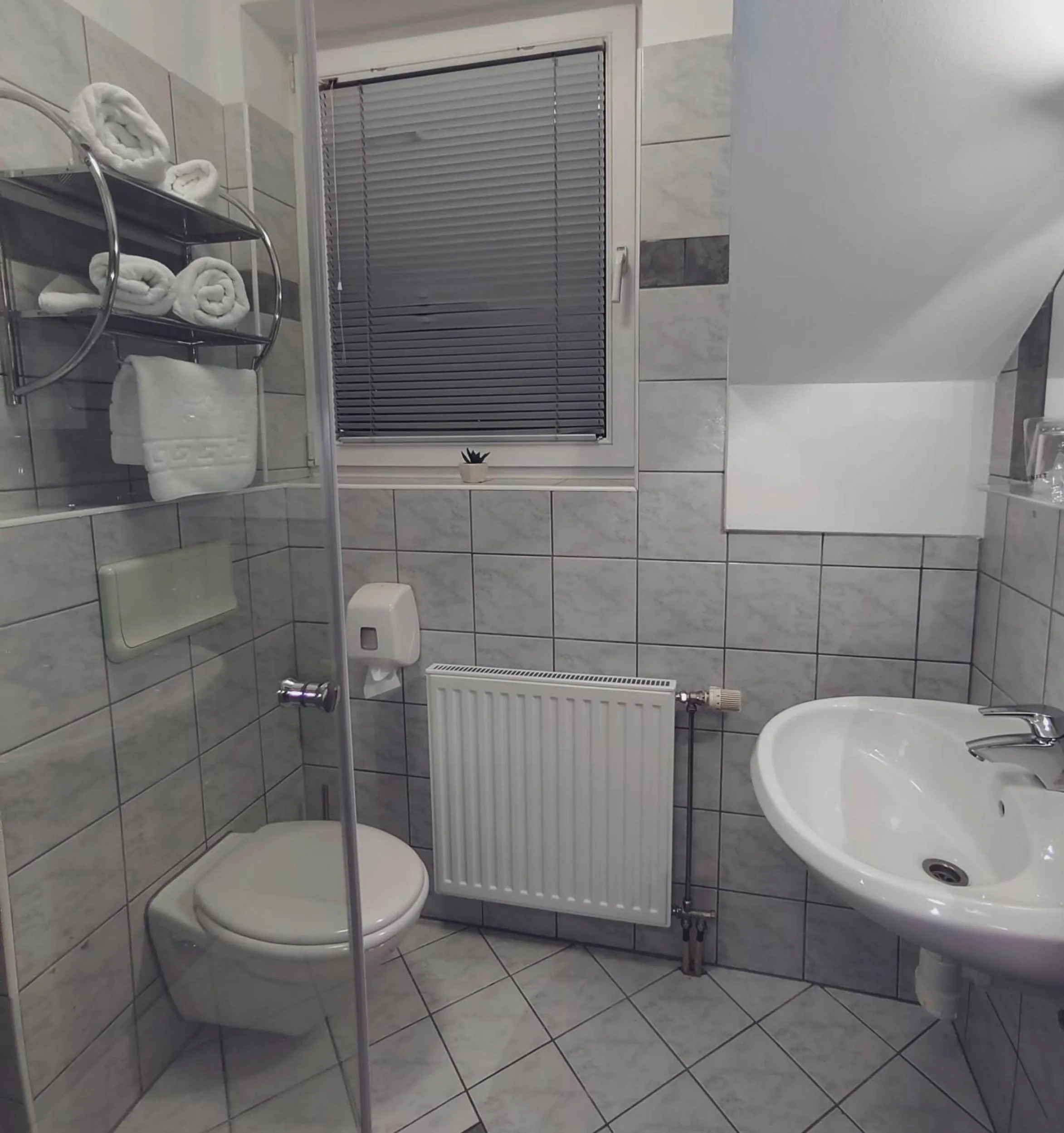 Single Room - single occupancy in Hotel Bajt Maribor