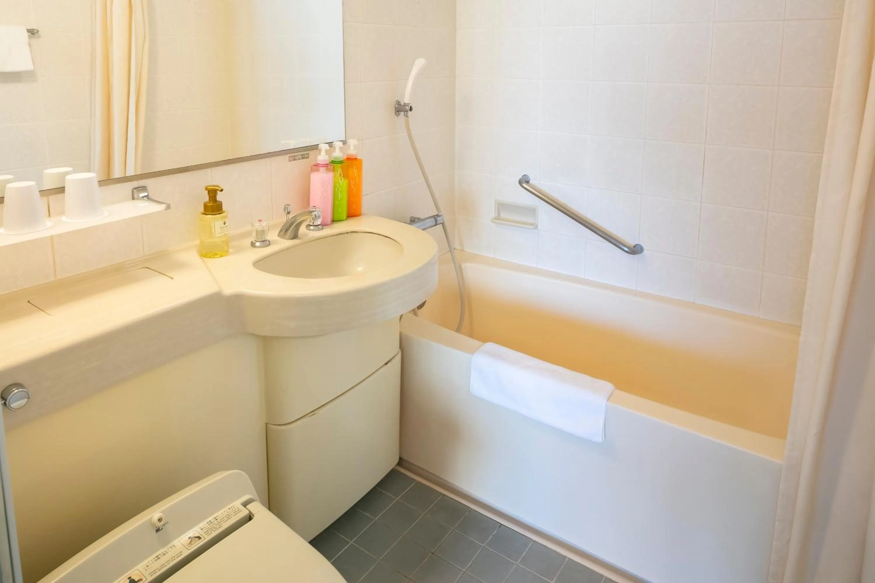 Economy Twin Room in Narita Gateway Hotel