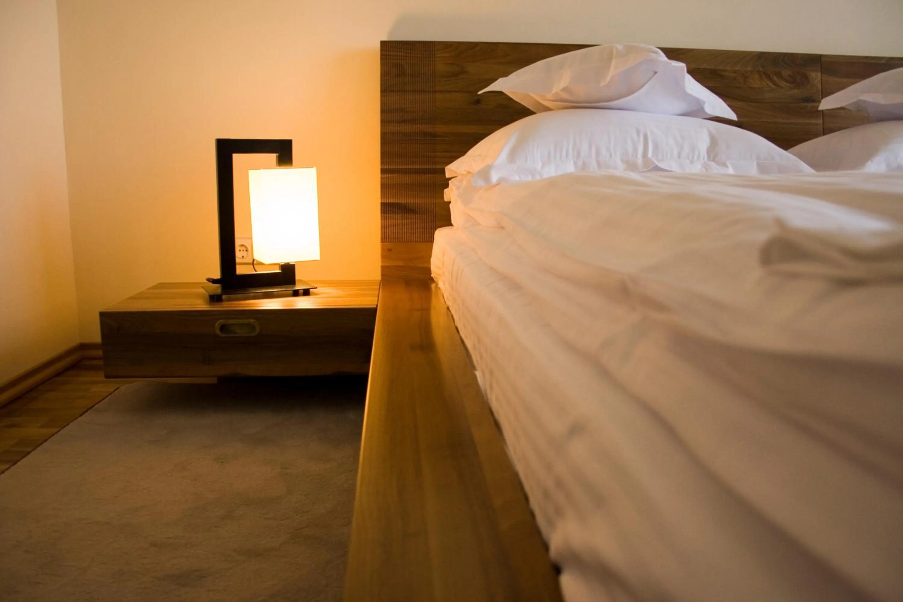 Twin Room - single occupancy in Anthimos