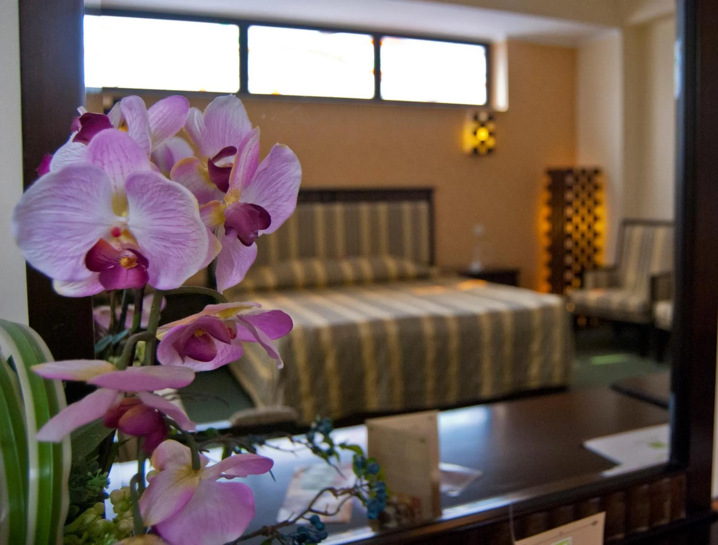 Studio in Hotel Tecadra