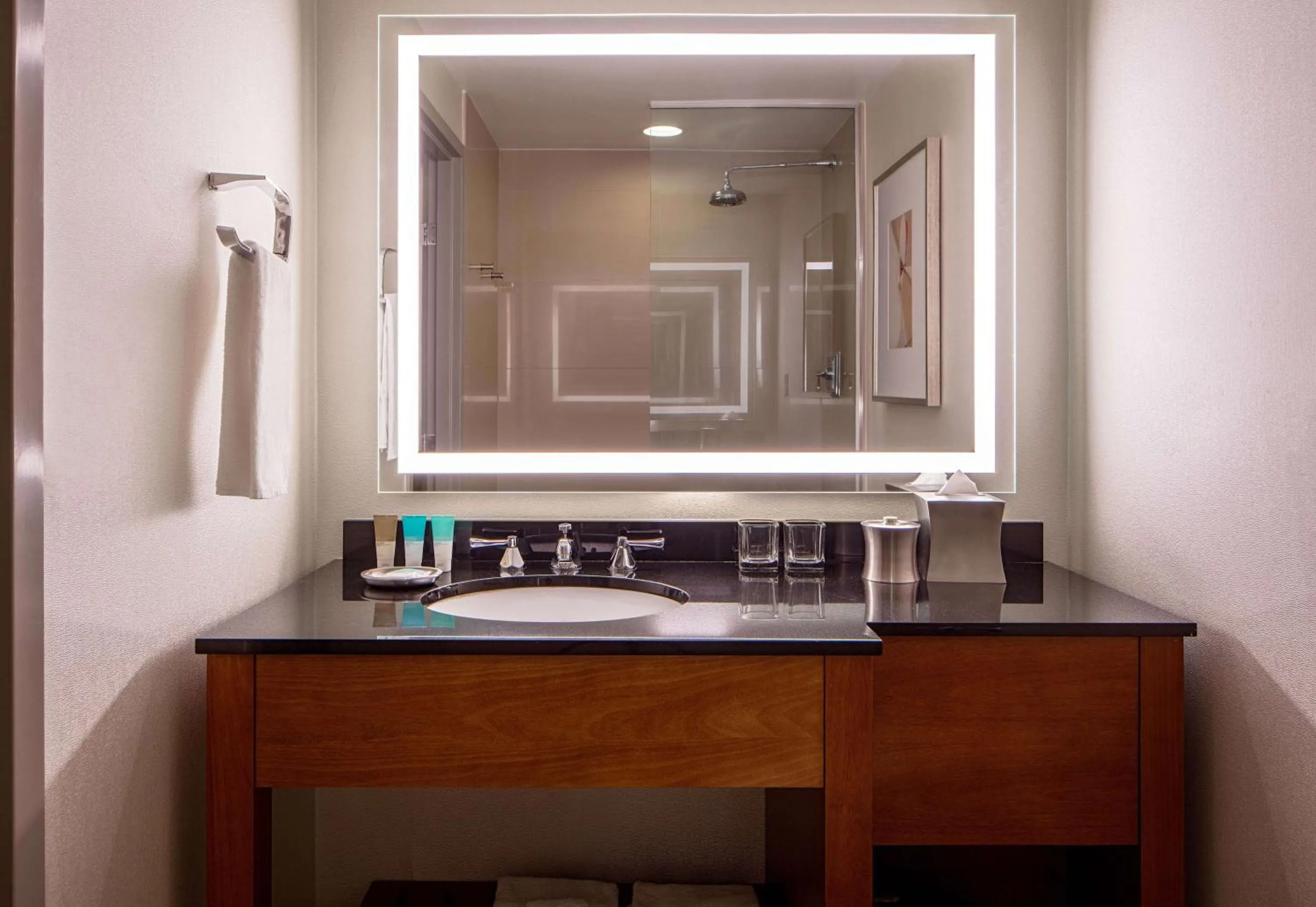 Double Room with Two Double Beds in Hyatt Regency Crystal City at Reagan National Airport