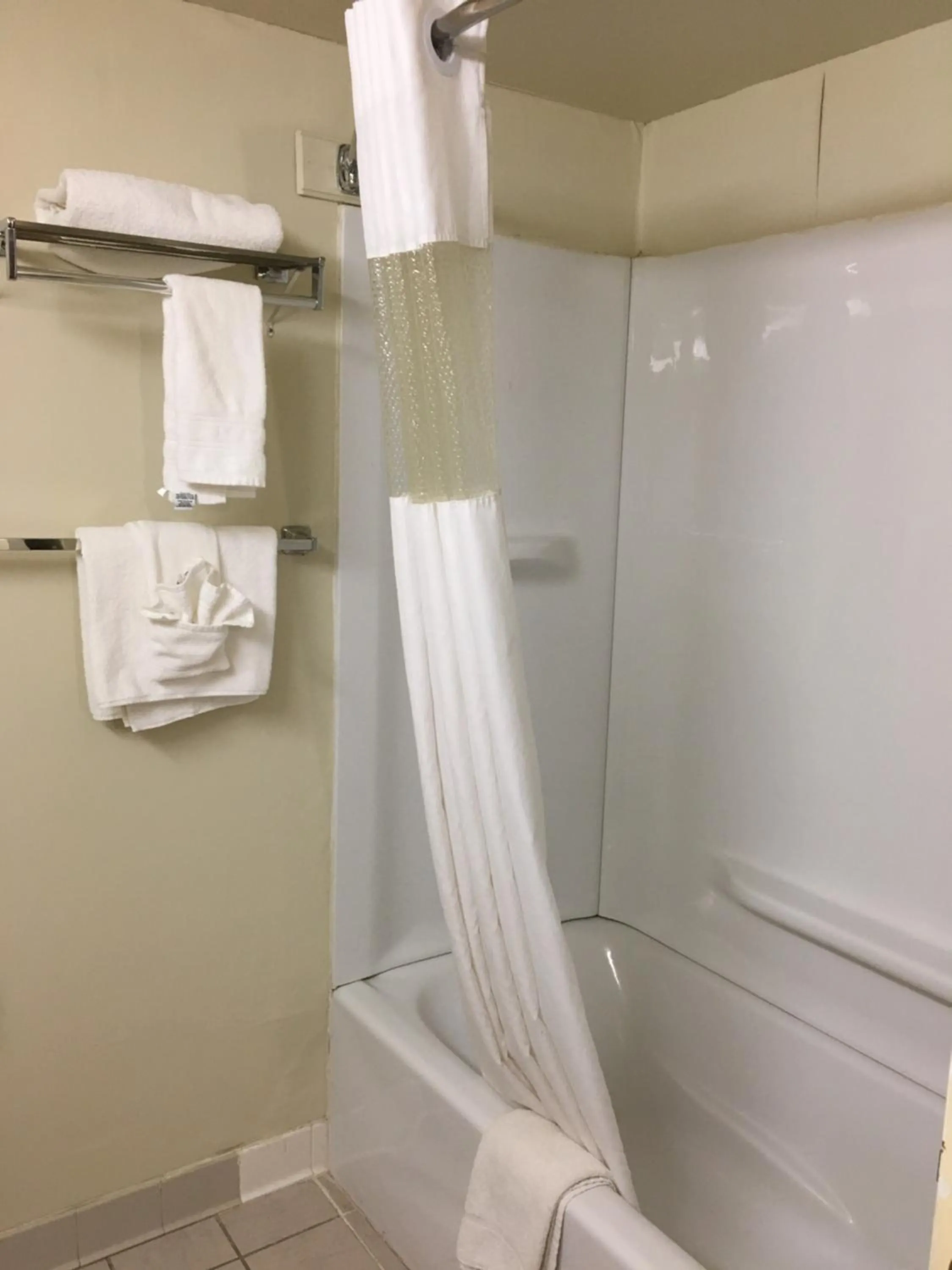 Efficiency Queen Room - Non-Smoking in Econo Lodge Inn & Suites Radford-Blacksburg Area