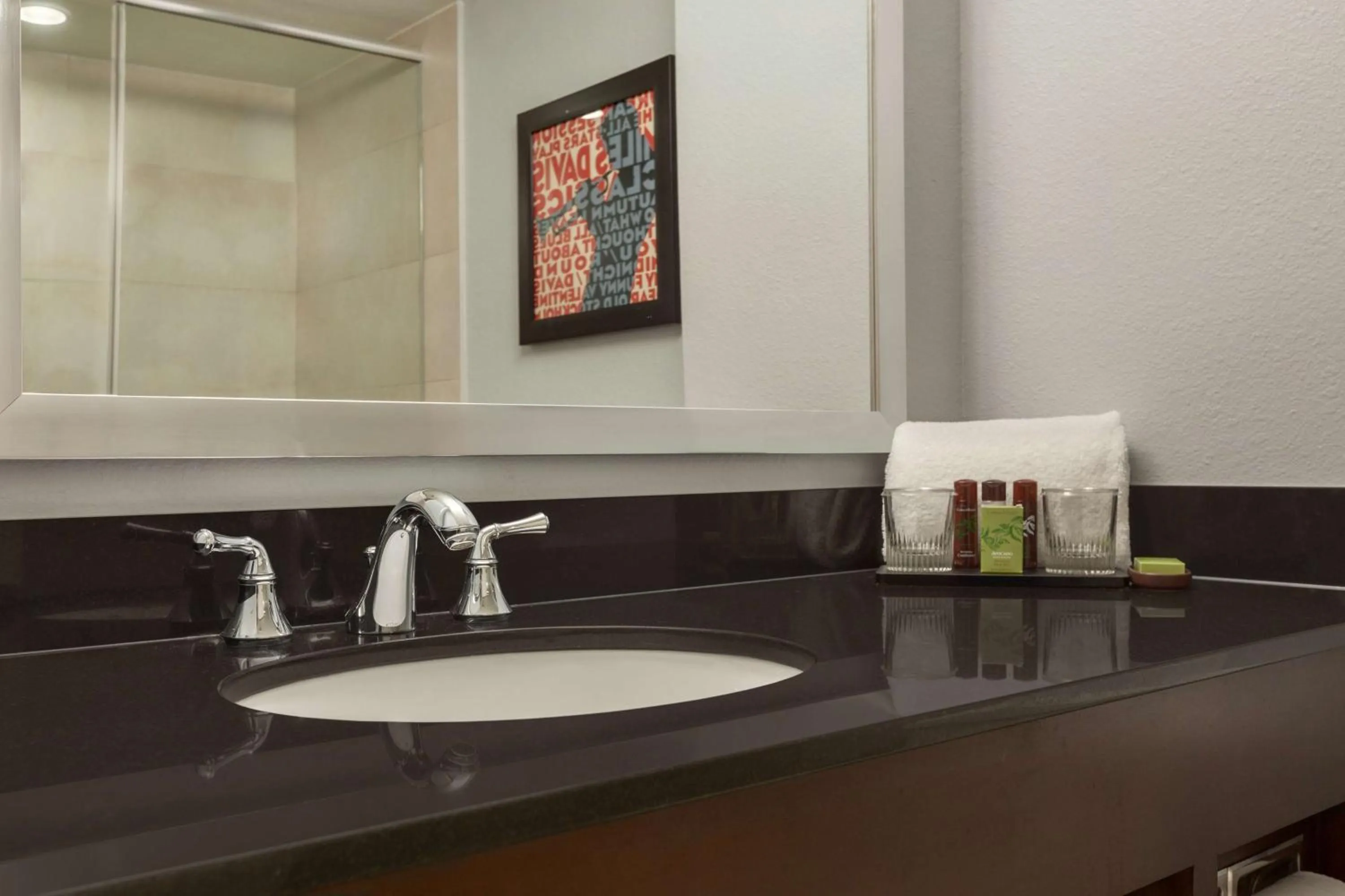 King Suite with Bath Tub - Disability Access/Non-Smoking  in Embassy Suites Baton Rouge