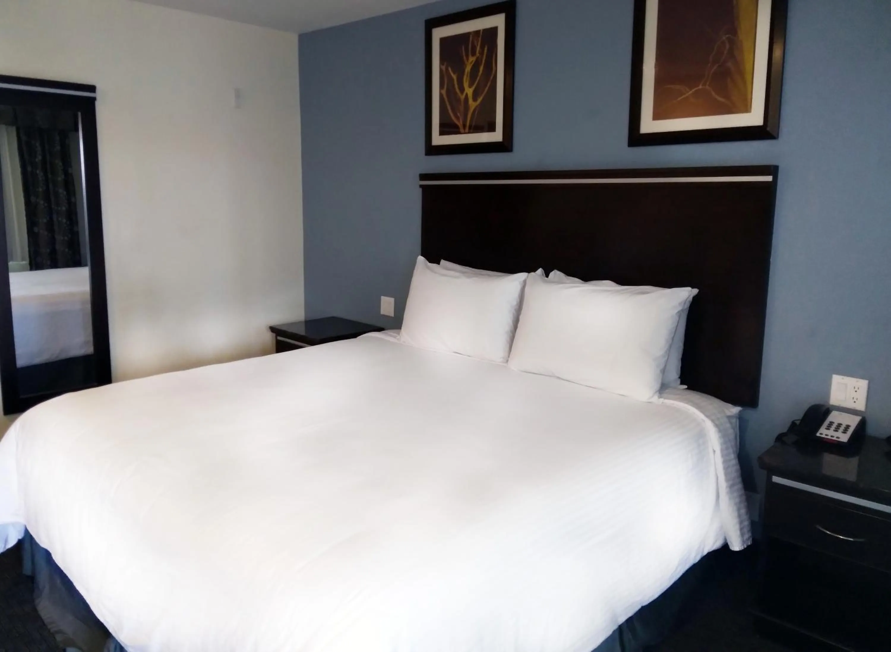 King Room - Non-Smoking in SureStay Hotel by Best Western Chula Vista San Diego Bay