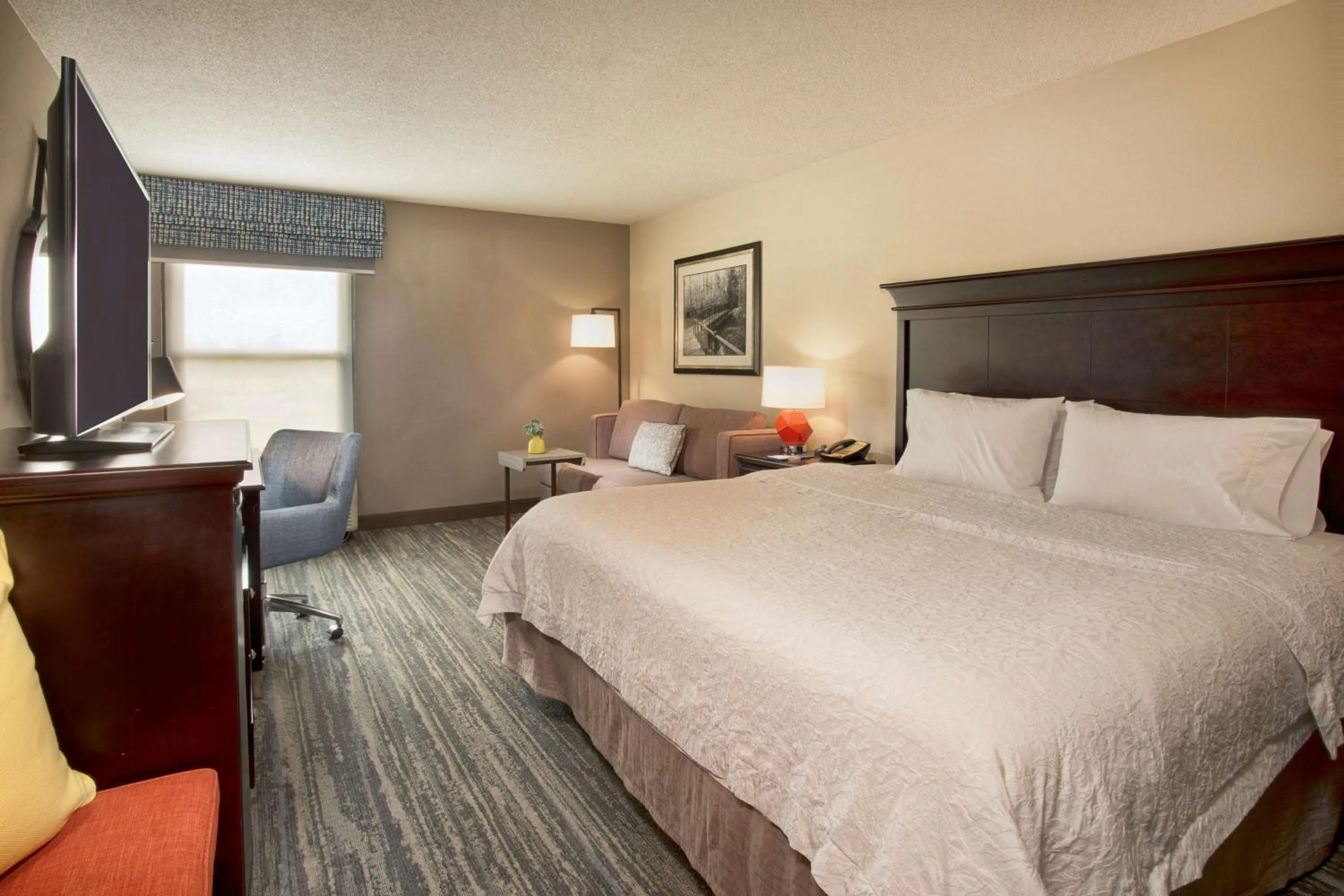 Premium King Room - Non-Smoking in Hampton Inn Memphis/Collierville