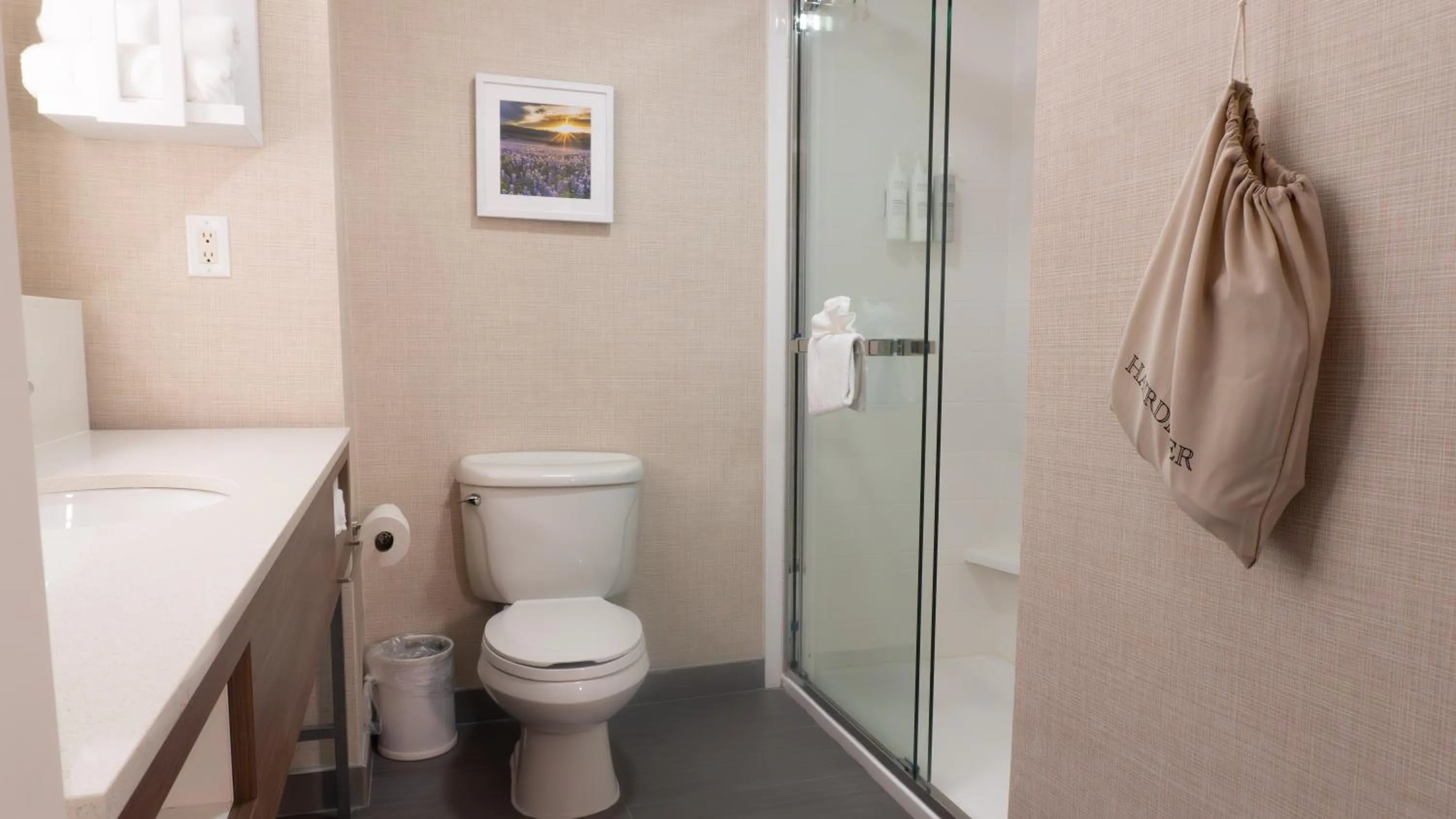 King Suite with Sofa Bed - Non-Smoking in Hampton Inn and Suites Houston-Katy