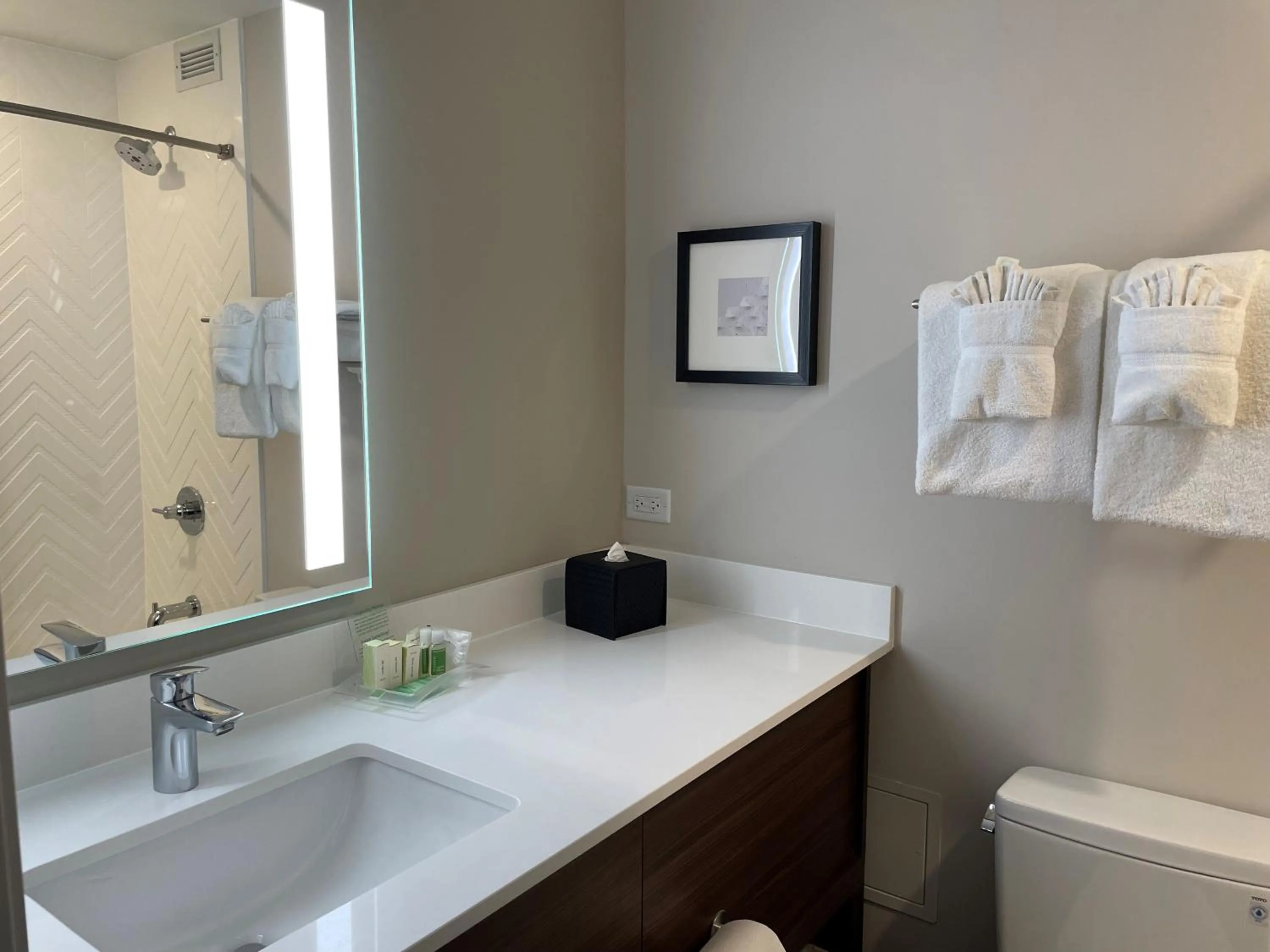 Standard Room in Holiday Inn Hotel & Suites Chicago - Downtown by IHG