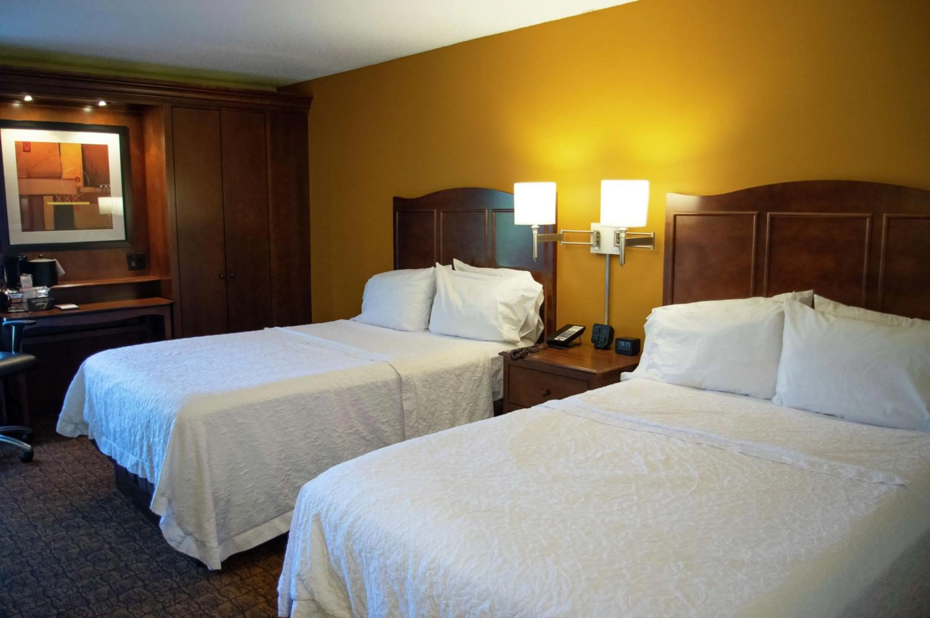 Double Room - Disability Access Non Smoking in Hampton Inn St. Louis-Chesterfield