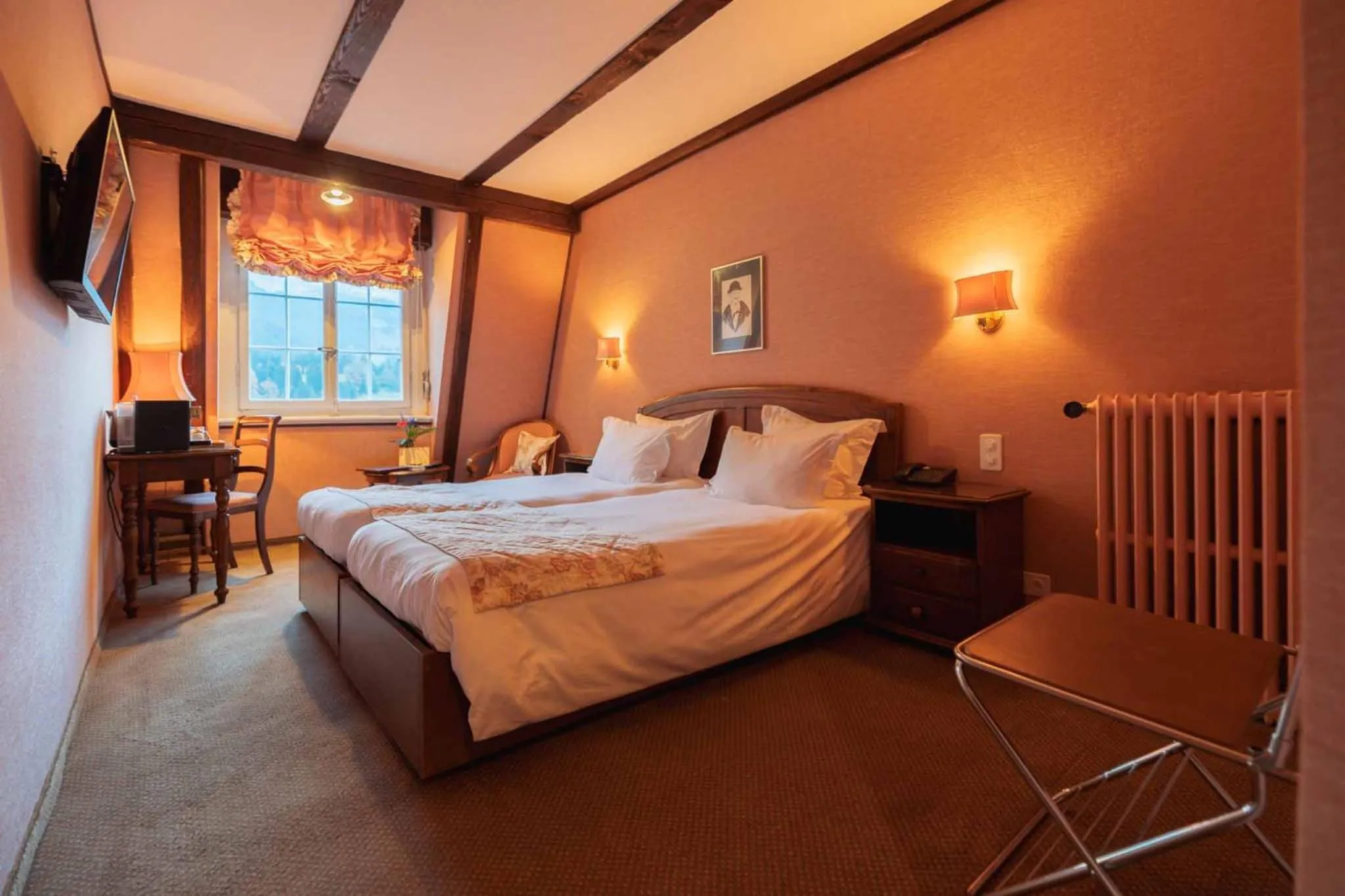 Standard Double Room in Hotel Regina