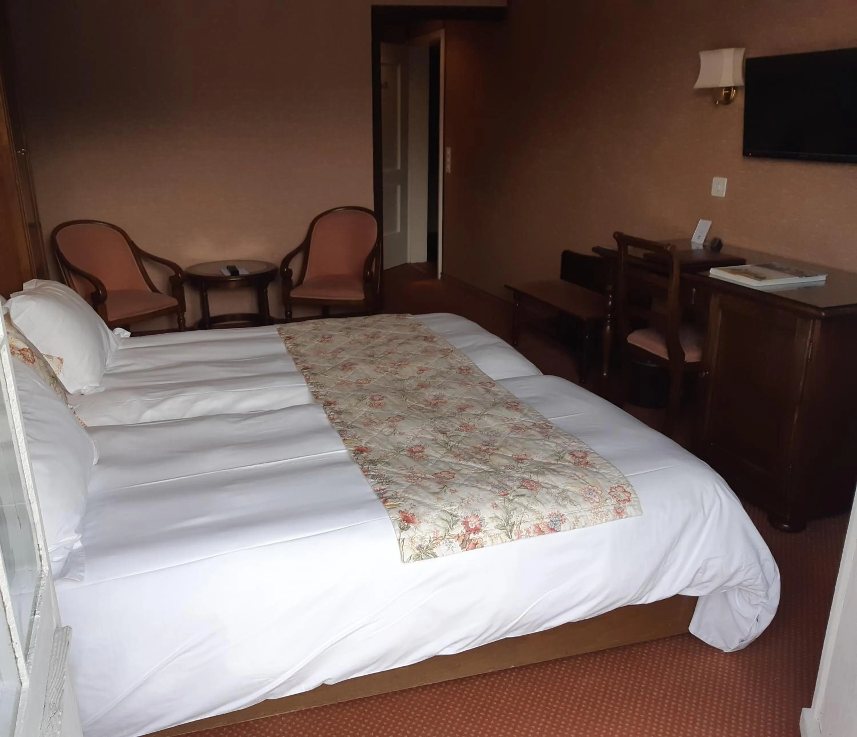 Standard Double Room in Hotel Regina