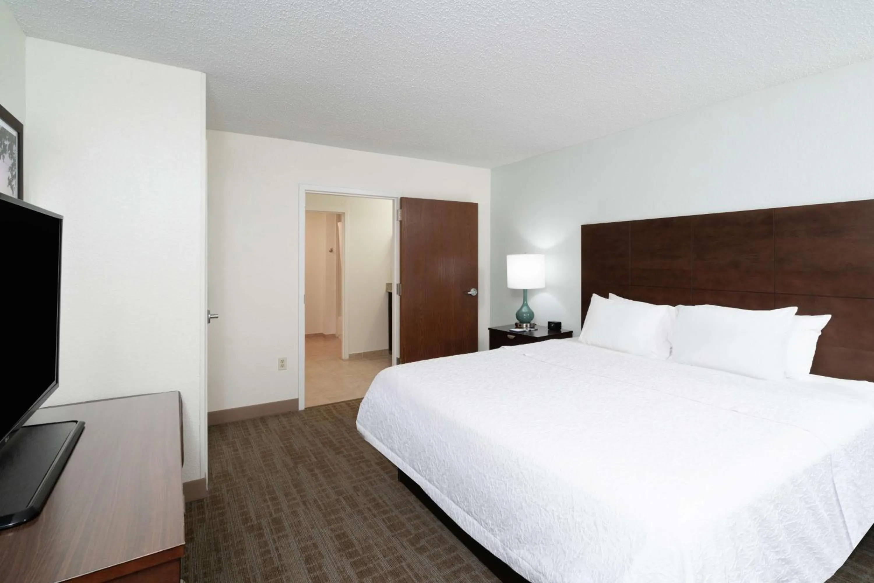 King Suite with Sofa Bed and Bath Tub - Disability Access/Non-Smoking in Hampton Inn & Suites Nashville Franklin
