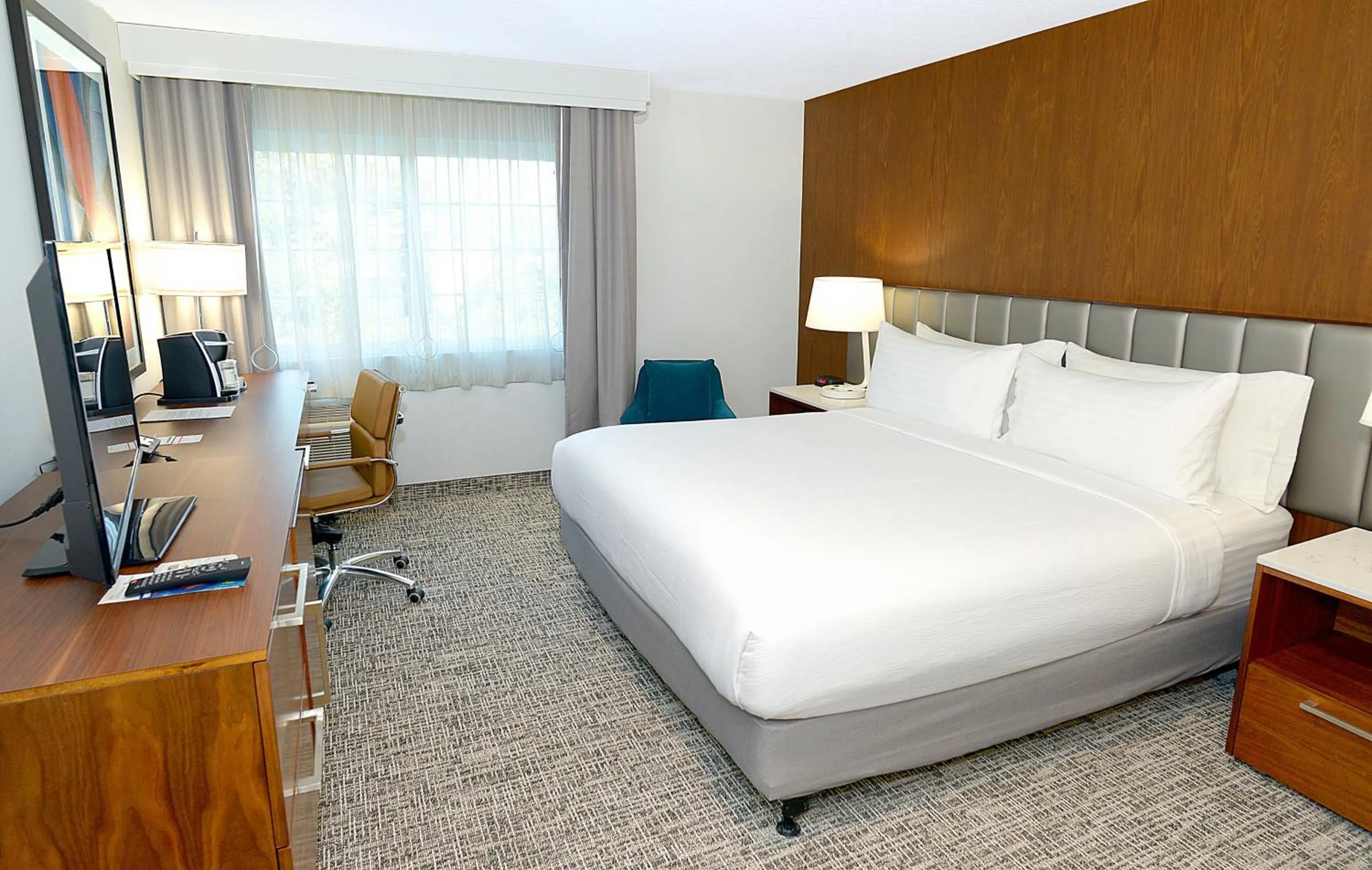 Standard King Room - Non-Smoking  in Holiday Inn & Suites San Mateo - SFO by IHG