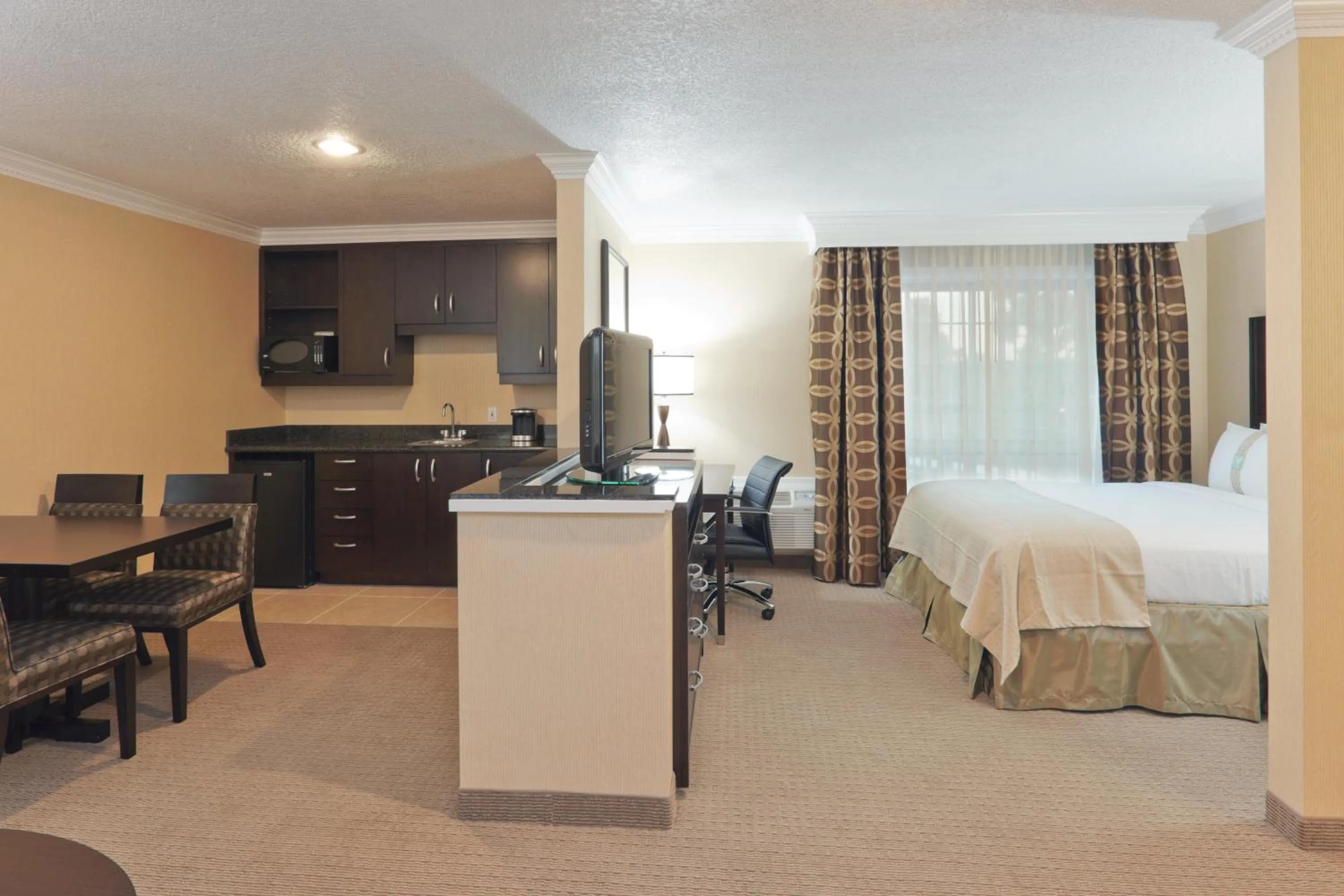Queen Suite in Holiday Inn & Suites San Mateo - SFO by IHG