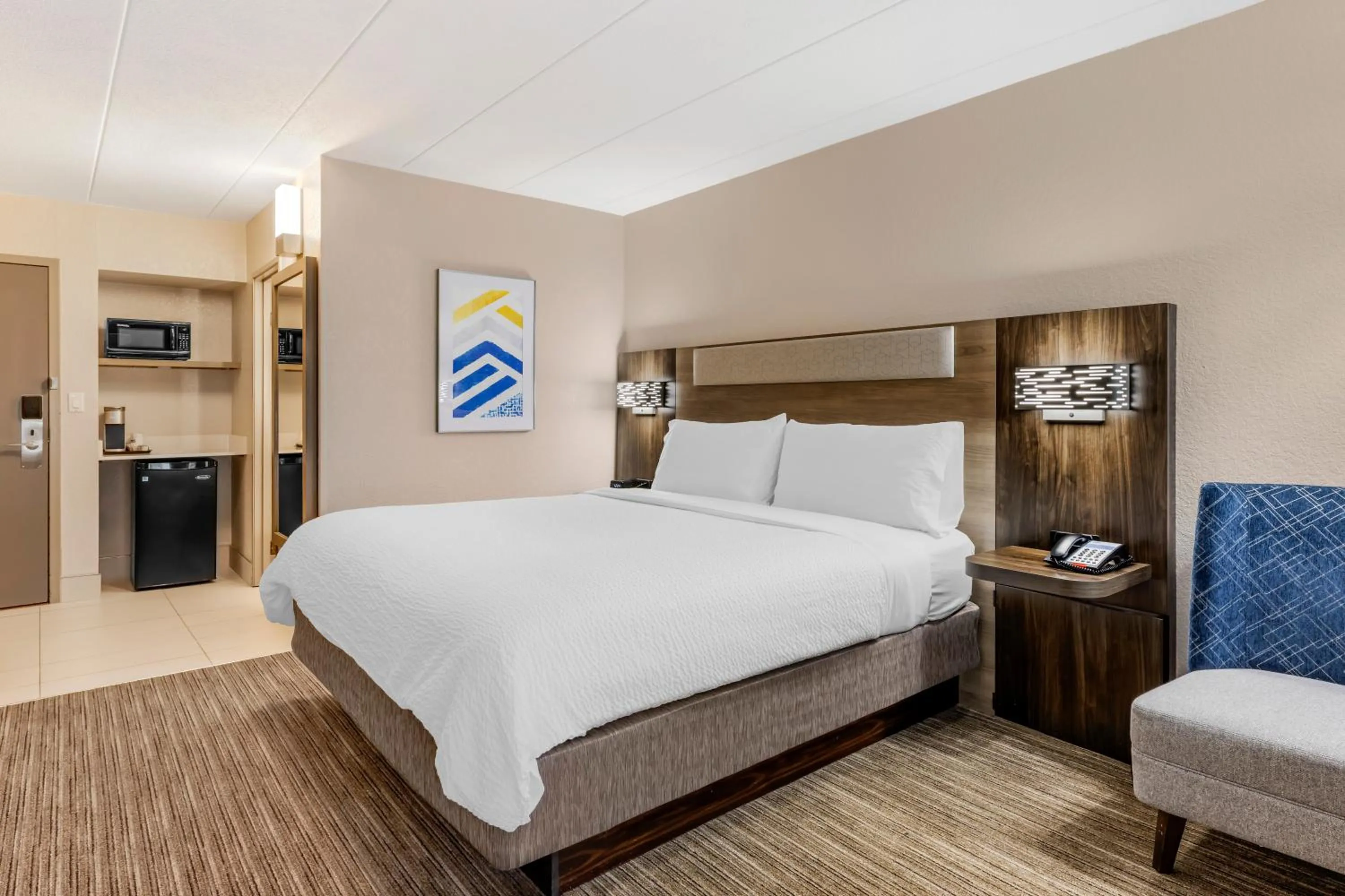 Deluxe King Room - Hearing Accessible  in Holiday Inn Express Chicago-Downers Grove by IHG