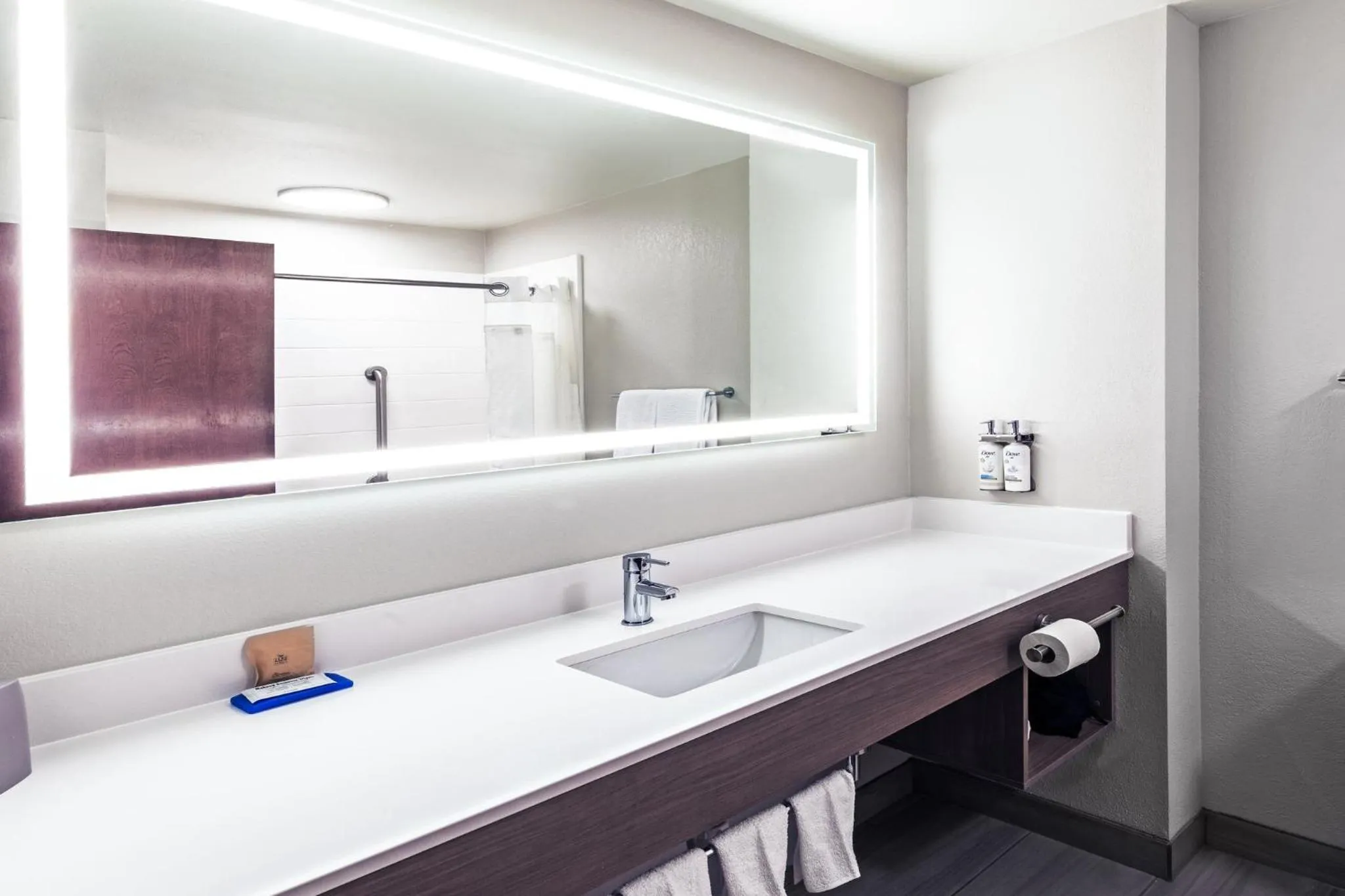 King Suite with Sofa Bed and Minifridge in Holiday Inn Express Harvey-Marrero by IHG