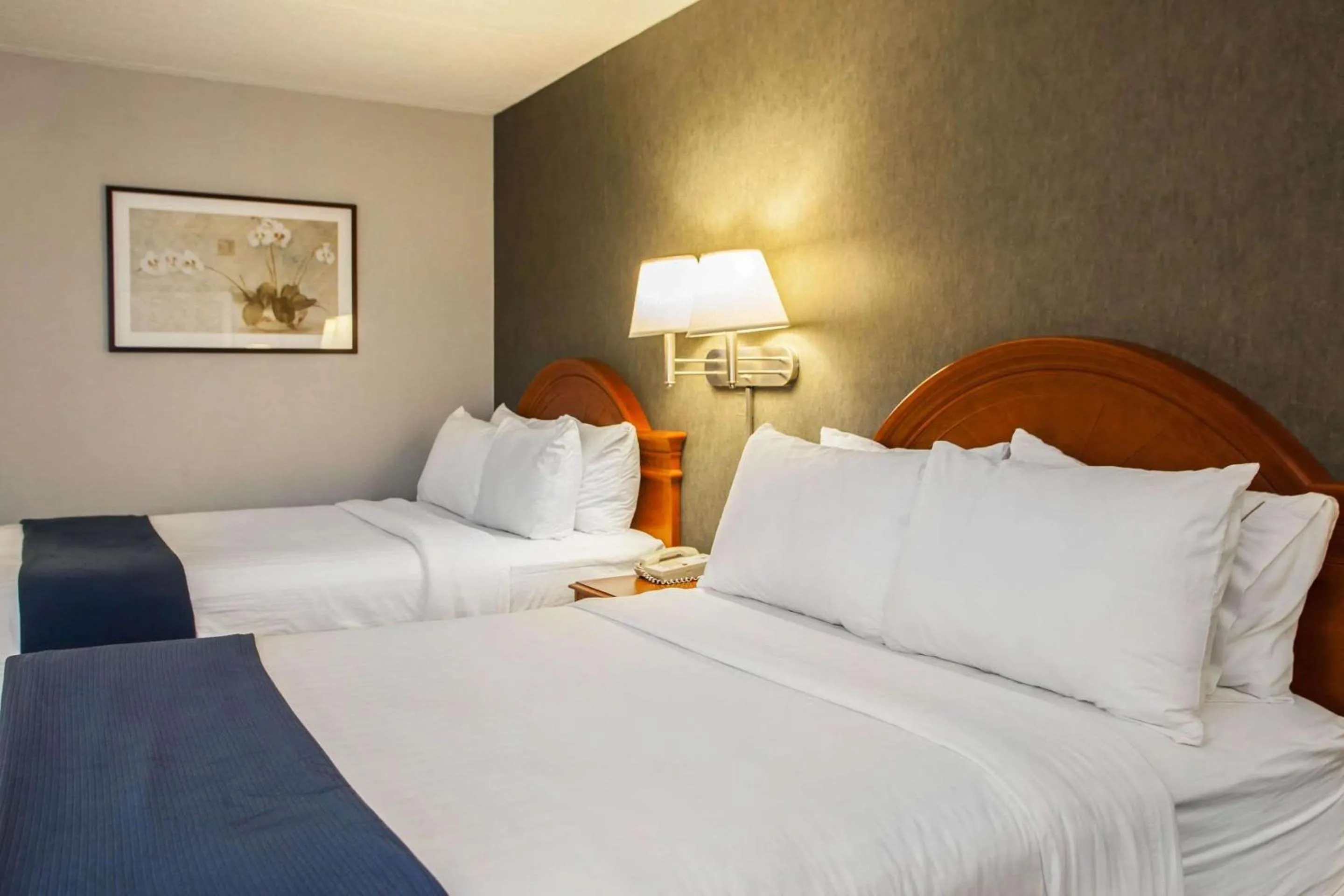 Standard Double Room with Two Double Beds - Smoking in Quality Inn & Suites St Charles -West Chicago