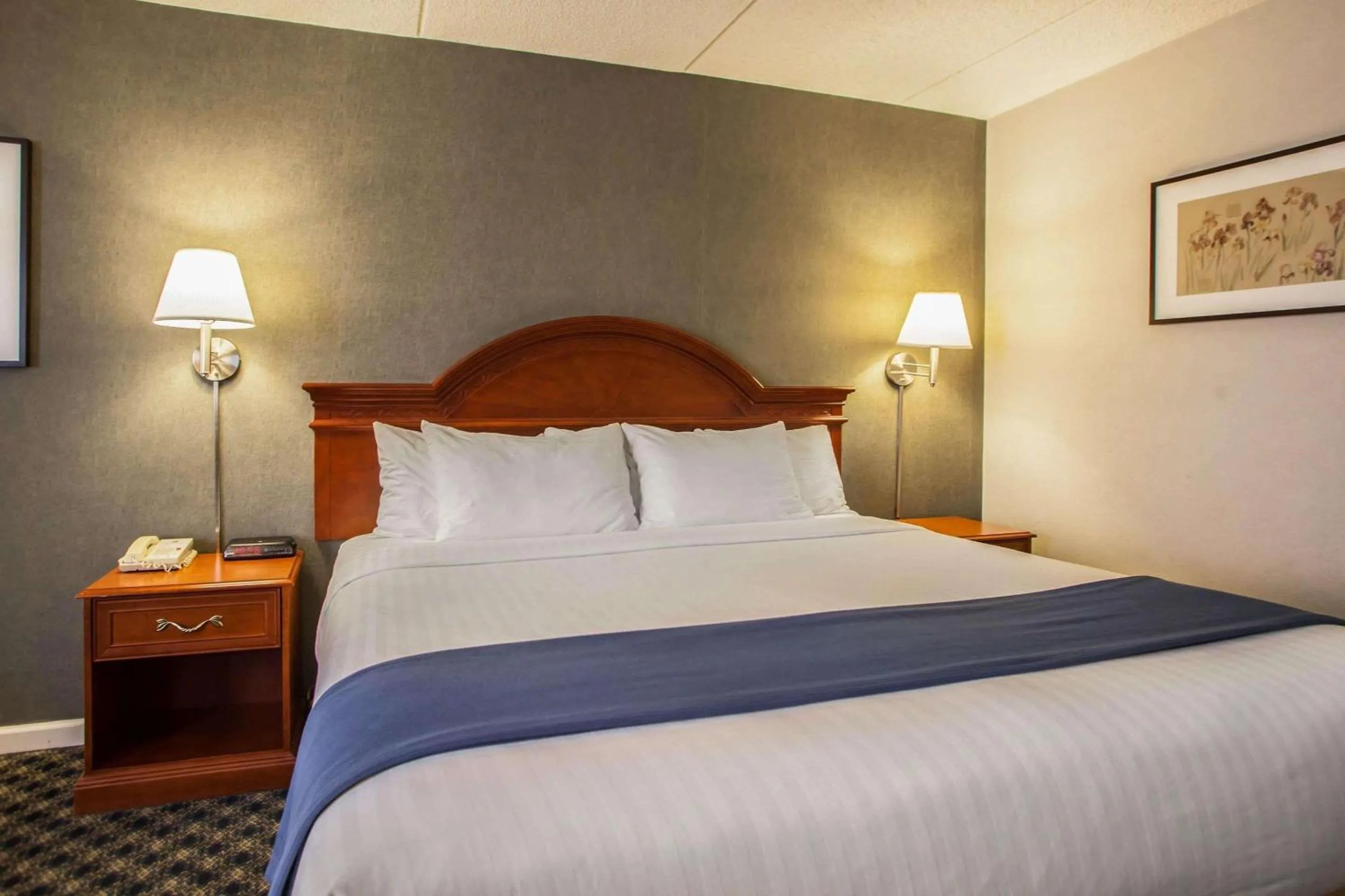 Efficiency King Suite - Non-Smoking in Quality Inn & Suites St Charles -West Chicago
