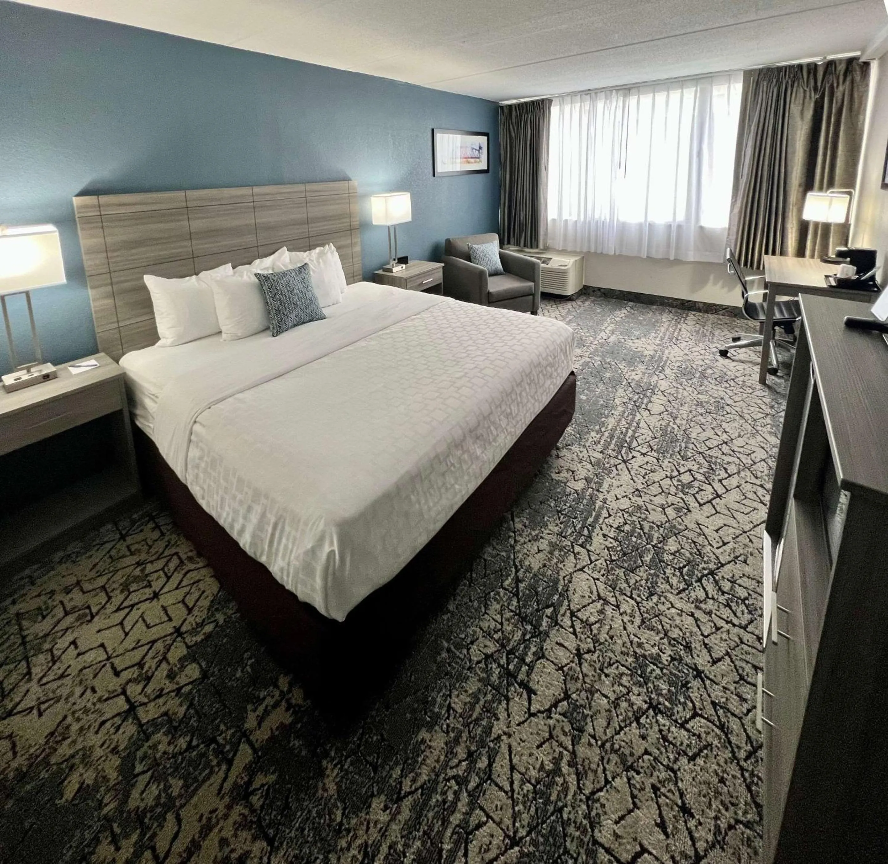 Standard King Room - Non-Smoking  in Clarion Hotel & Convention Center Joliet