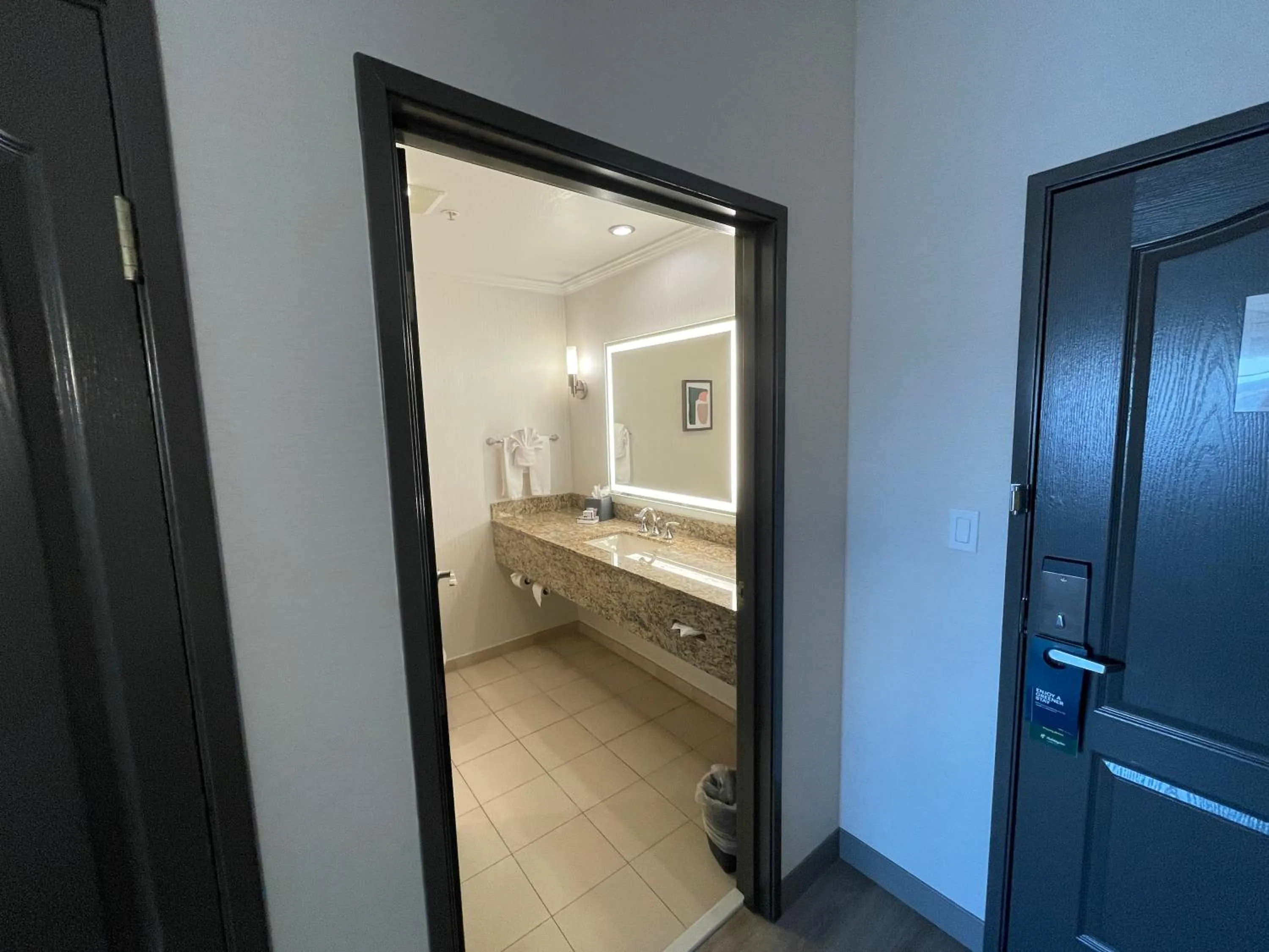 King Suite with Sofa Bed in Holiday Inn Hotel & Suites Chicago Northwest - Elgin by IHG