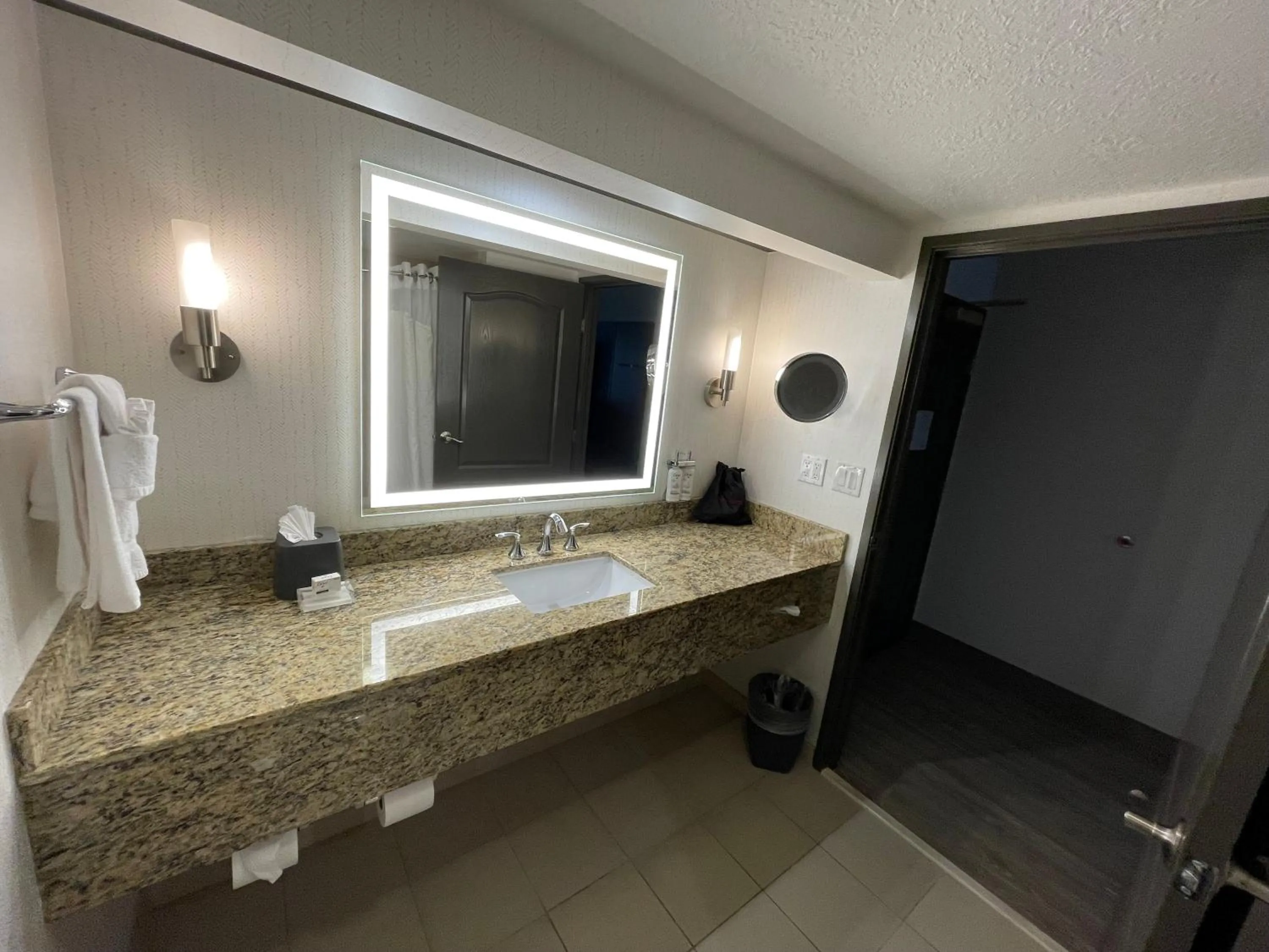 Standard King Room with Sofa Bed in Holiday Inn Hotel & Suites Chicago Northwest - Elgin by IHG