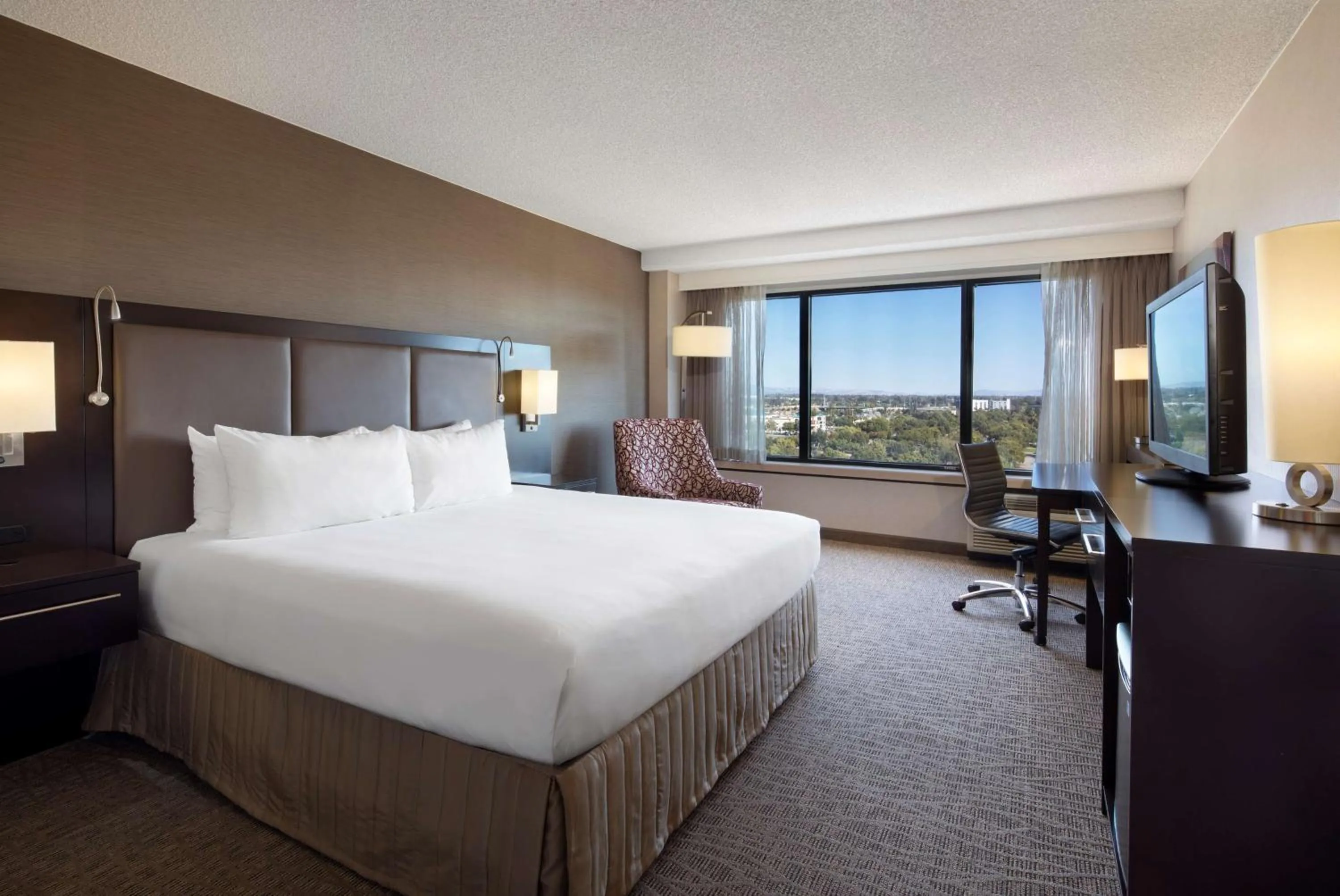 Executive King Room in Sonesta San Jose - Milpitas