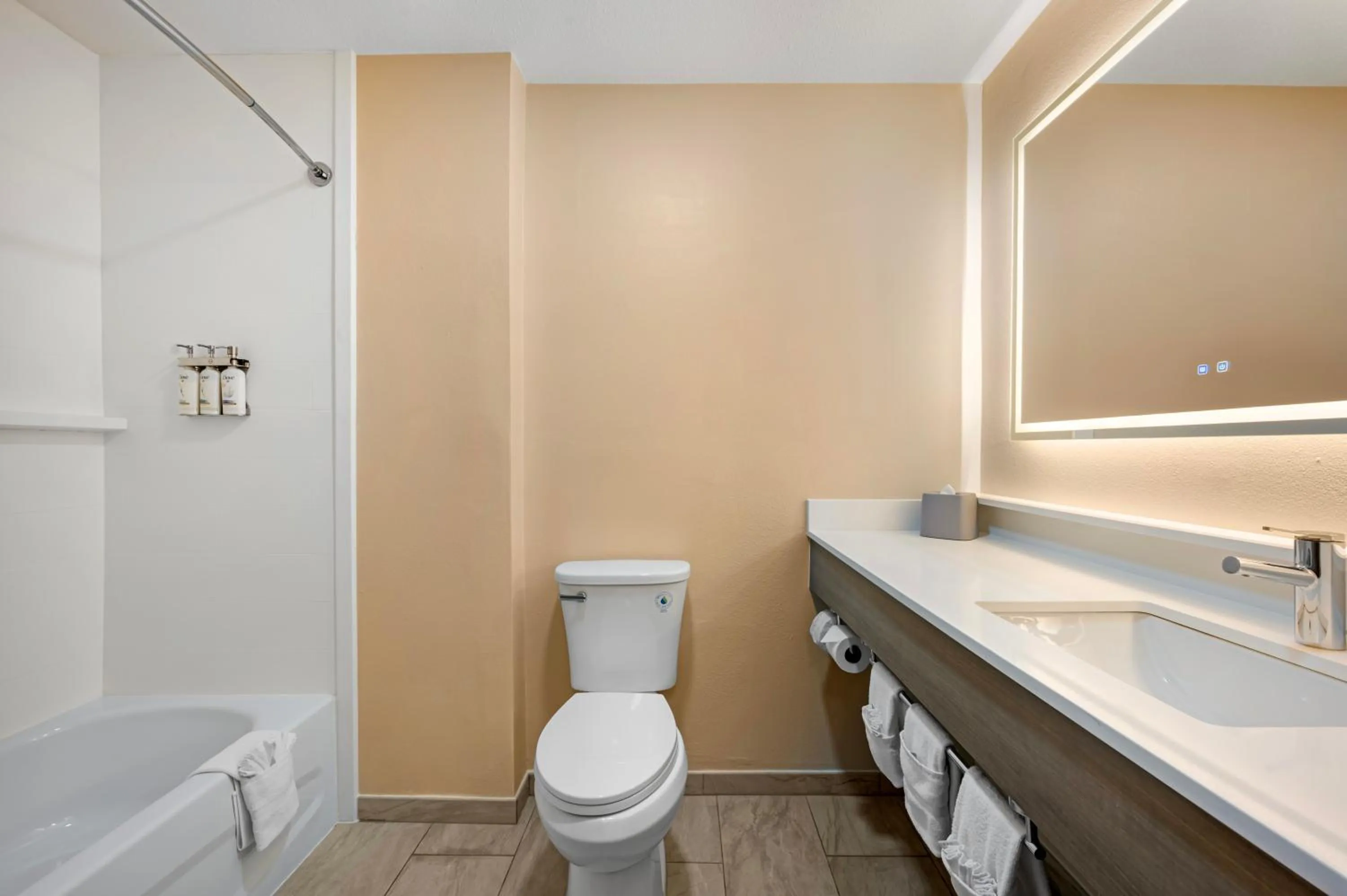 Deluxe King Room with Mobility Accessible Tub - Non-Smoking in Holiday Inn Express & Suites Indianapolis - East by IHG