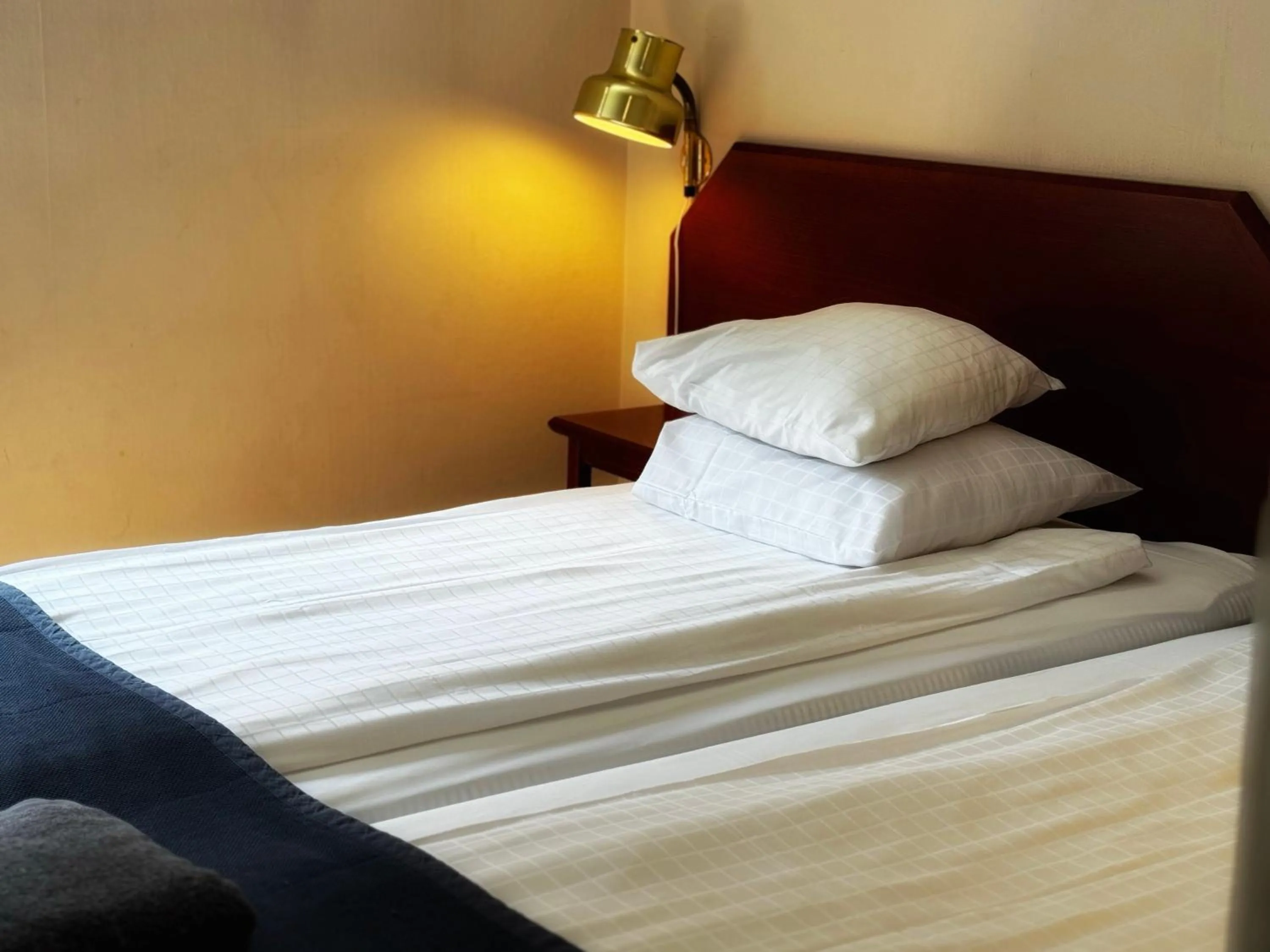 Standard Double Room in Hotel Örgryte