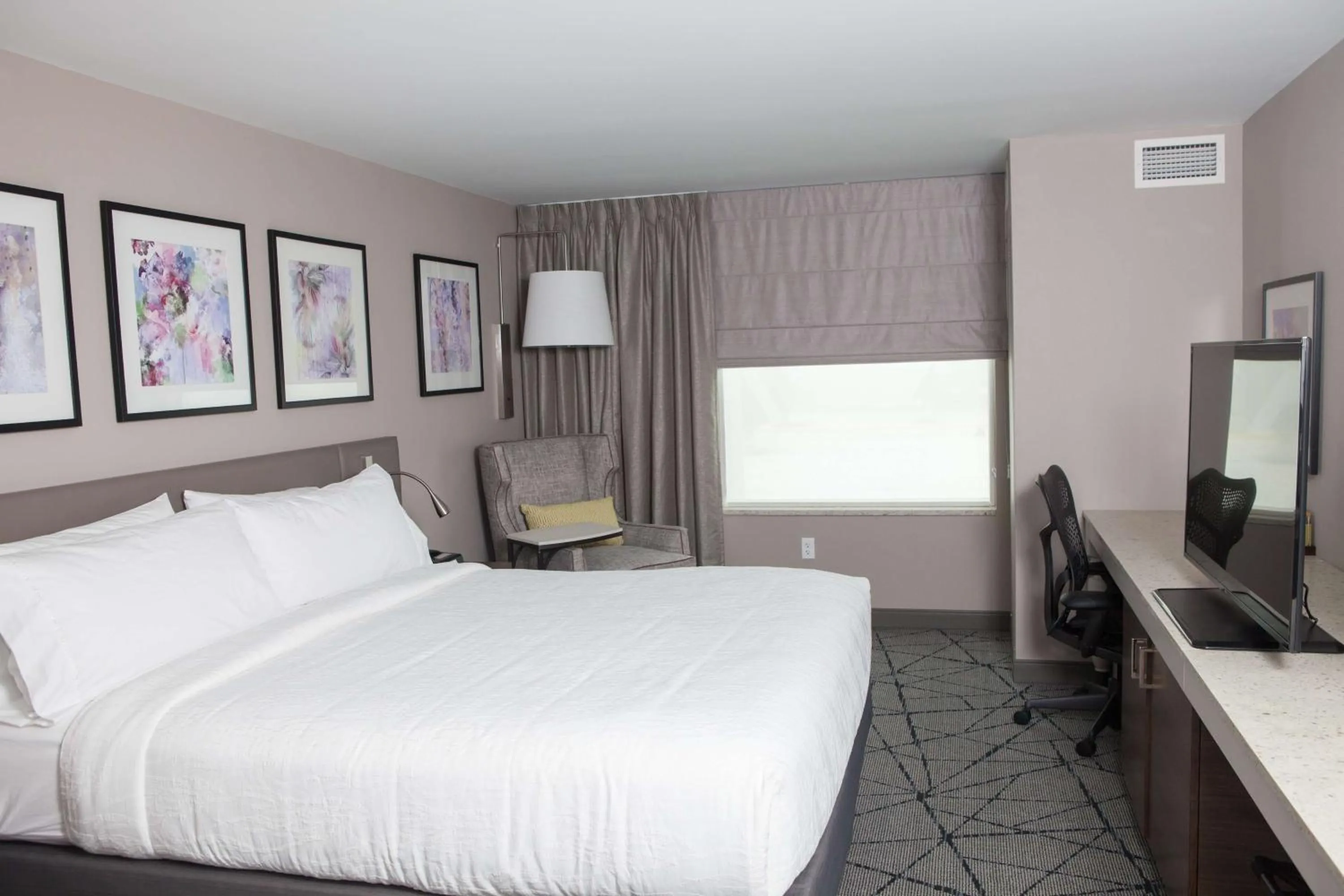 King Room in Hilton Garden Inn Springfield
