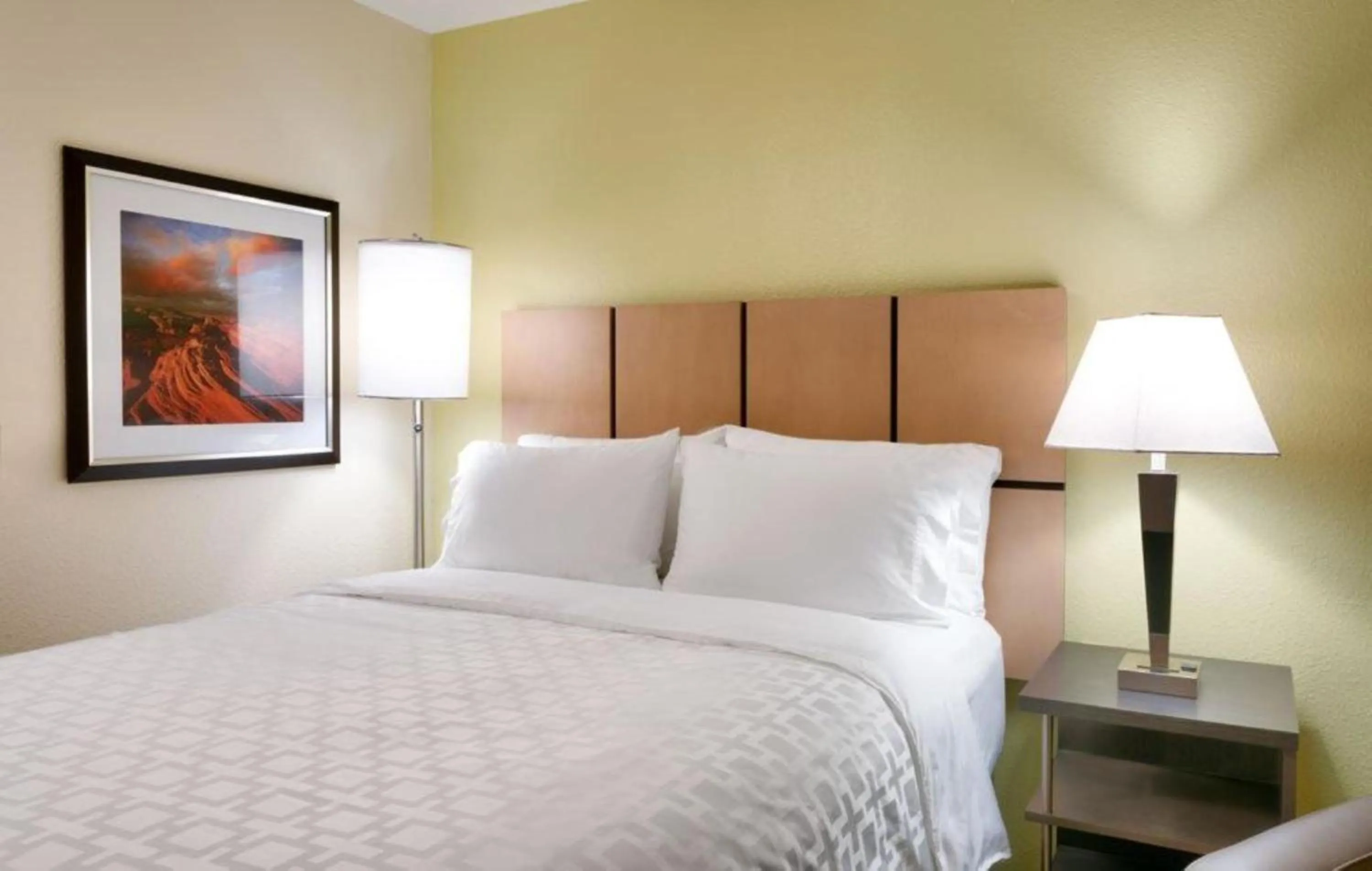 Studio Queen Suite in Candlewood Suites Plano East by IHG