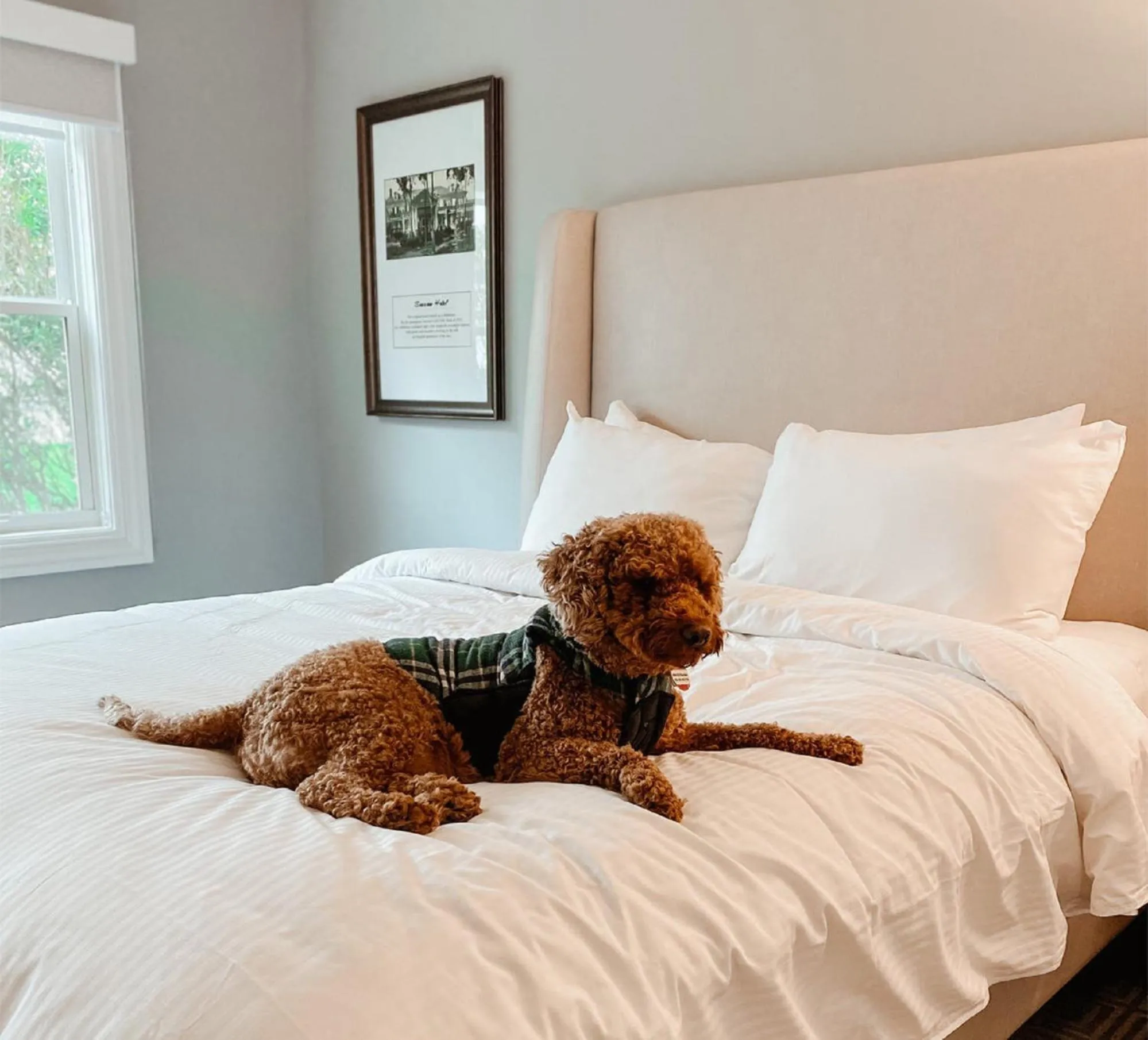 Deluxe King Room - Accessible  in Seaview, A Dolce Hotel