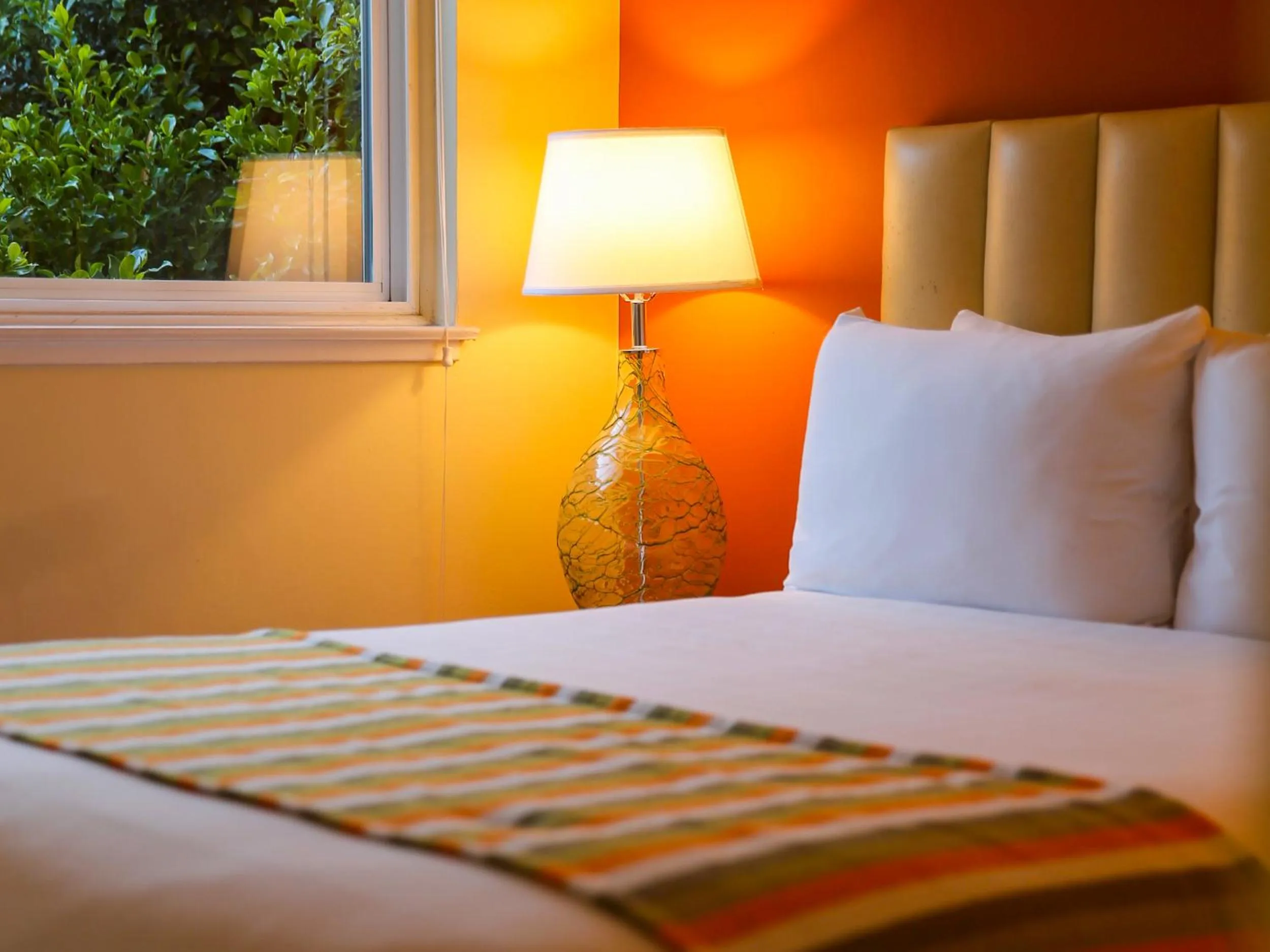 Deluxe Queen Room in Hotel Del Sol