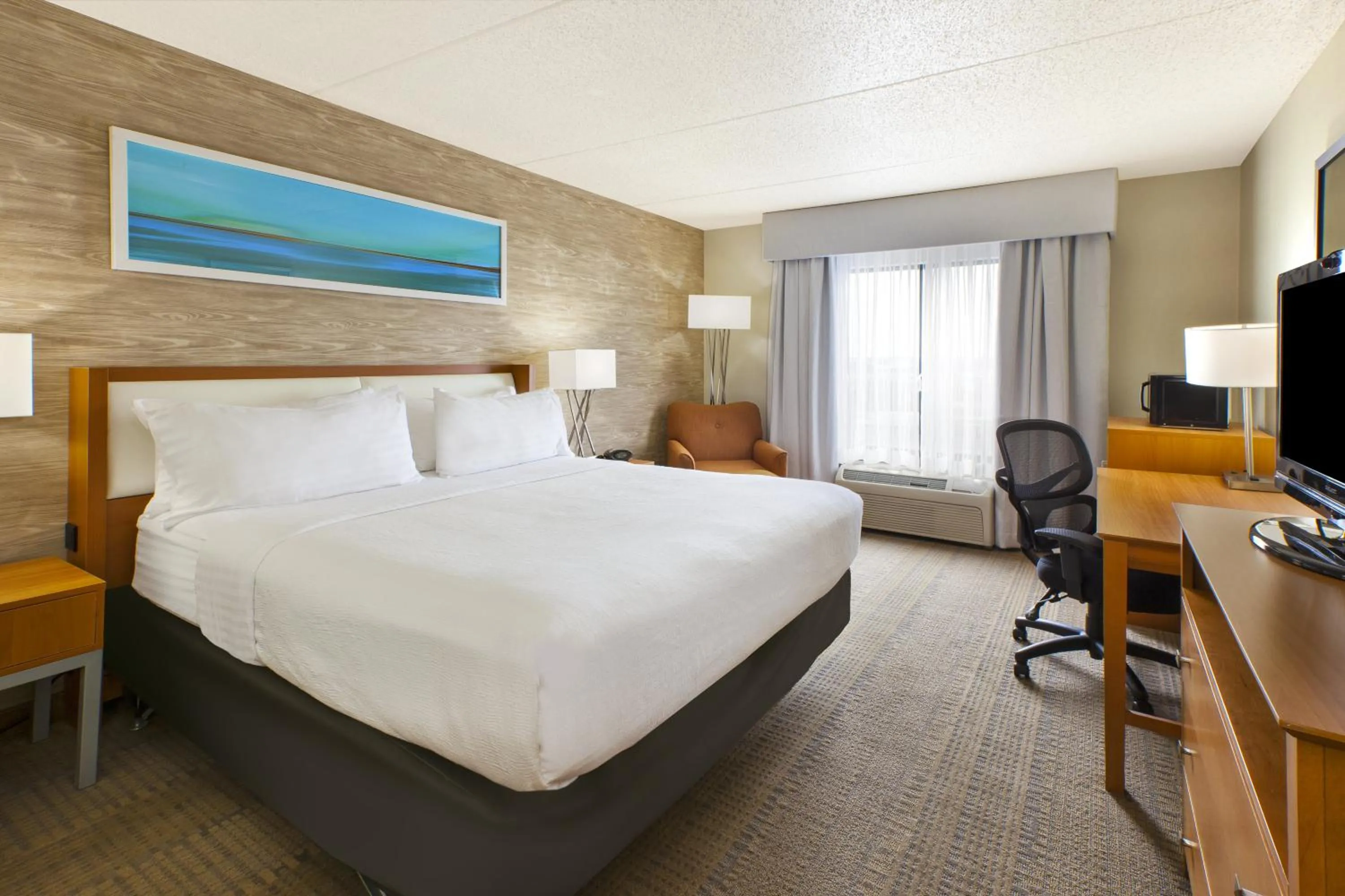 Standard King Room with Mobility Accessible Tub in Holiday Inn & Suites Bolingbrook by IHG