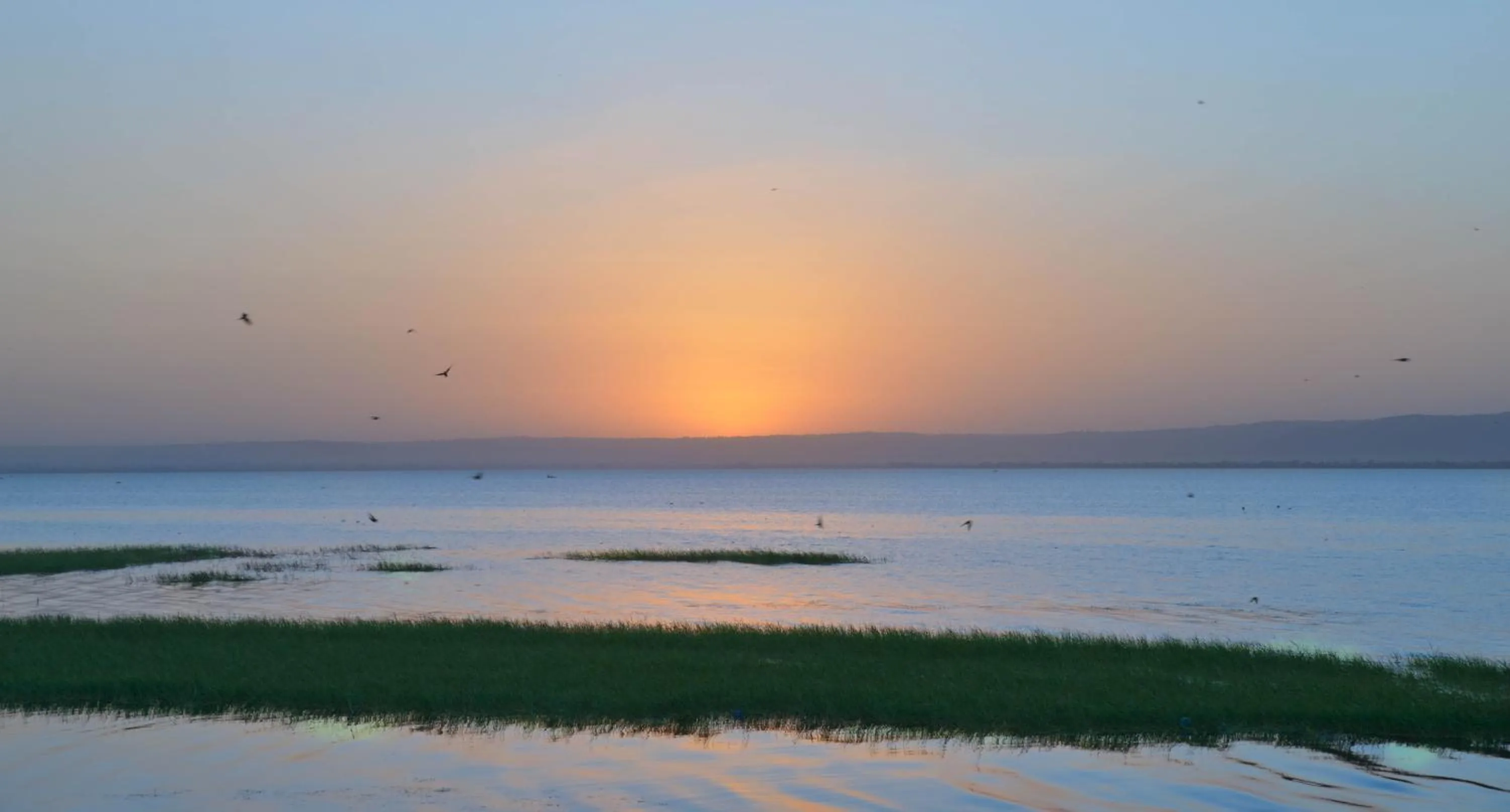 Double Room with Garden View in Haile Resort Hawassa