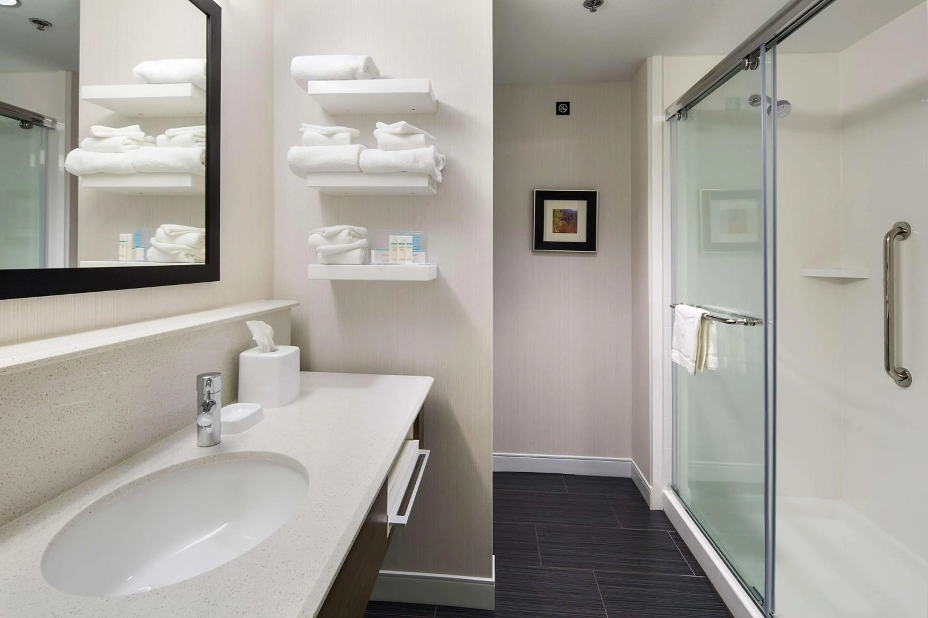 King Room with Sofa Bed - Hearing Accessible/Non-Smoking in Hampton Inn & Suites Page - Lake Powell