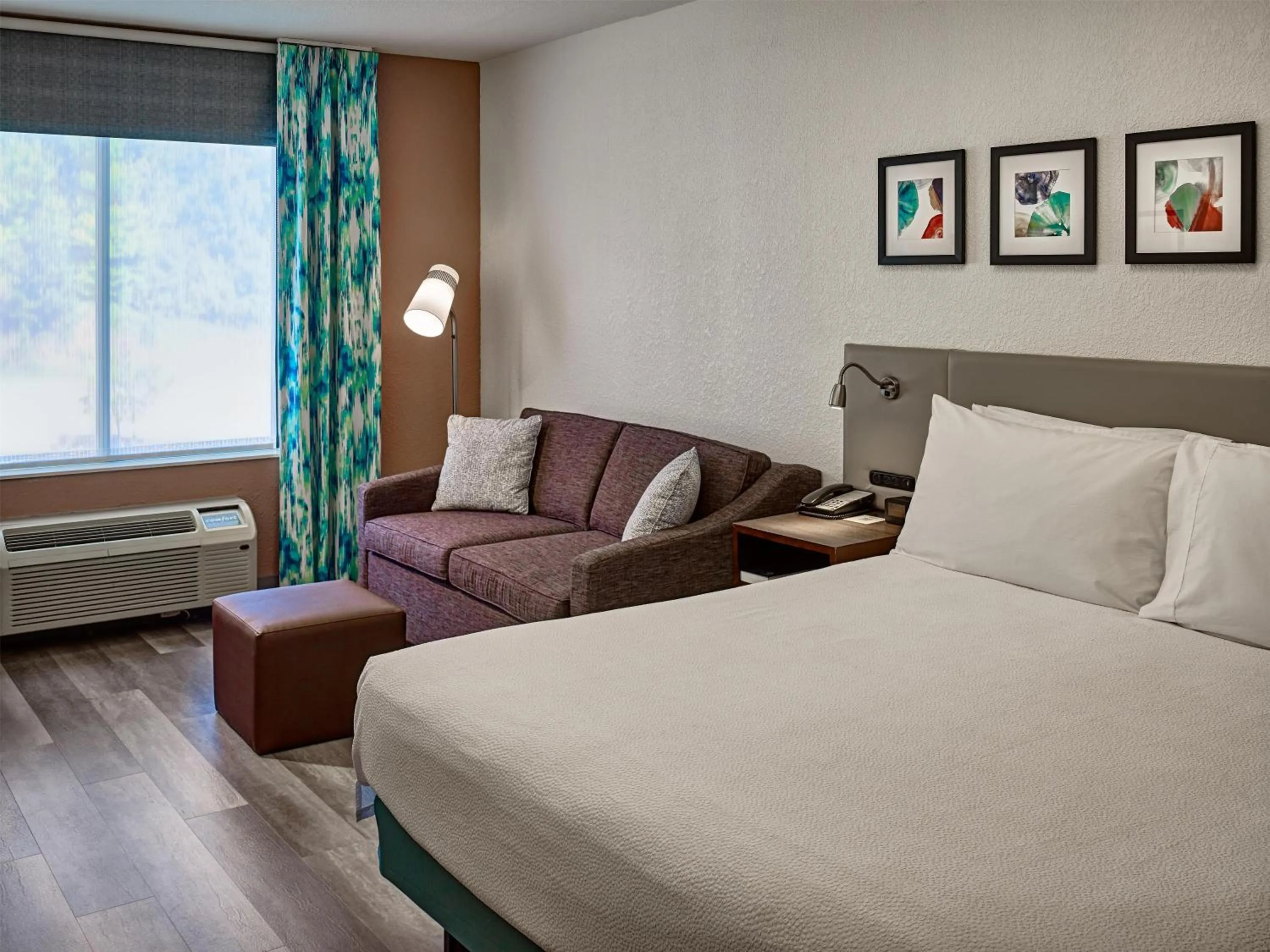 King Room in Hilton Garden Inn Pigeon Forge