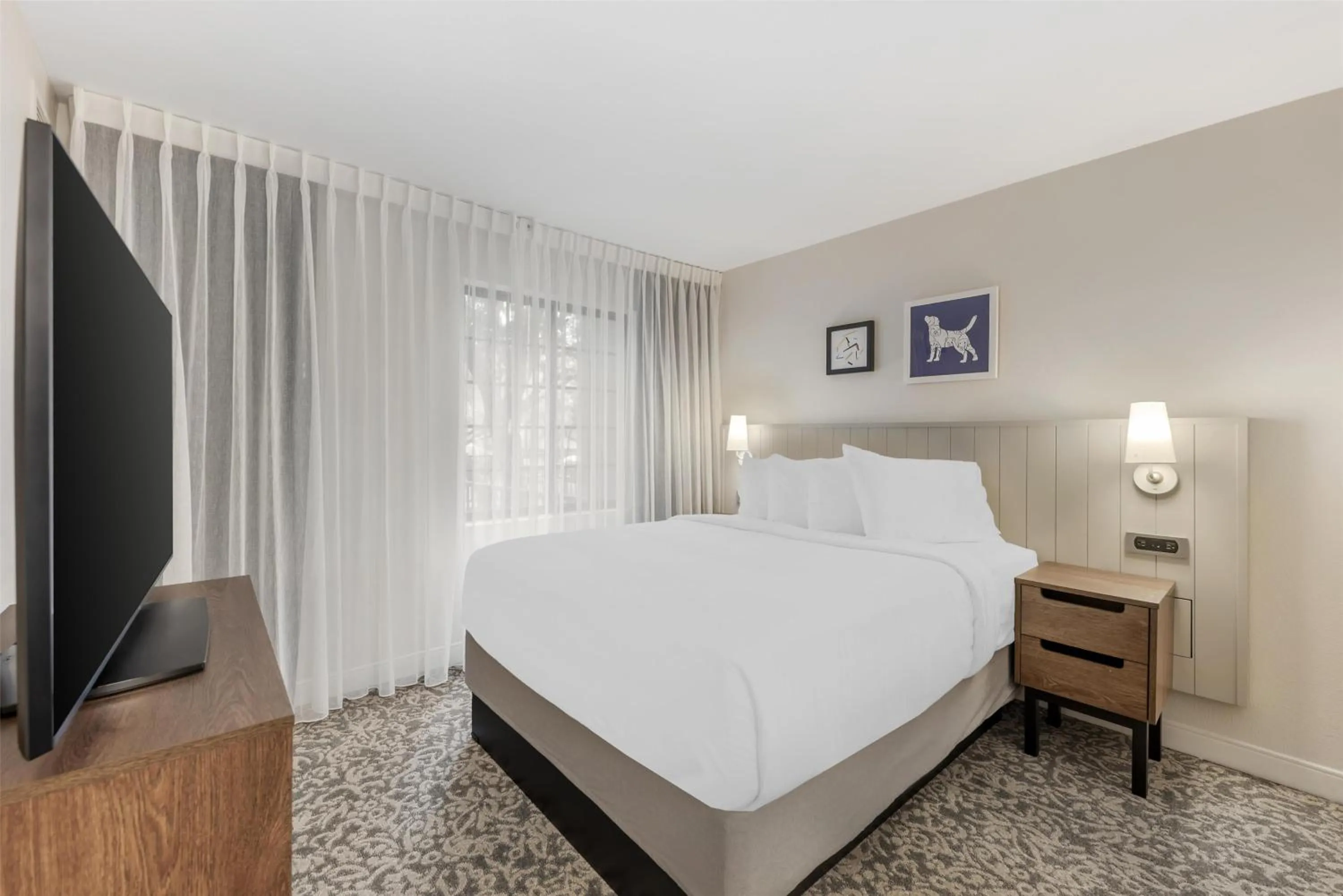 One-Bedroom Queen Suite in Sonesta ES Suites Austin The Domain Area - Newly Renovated