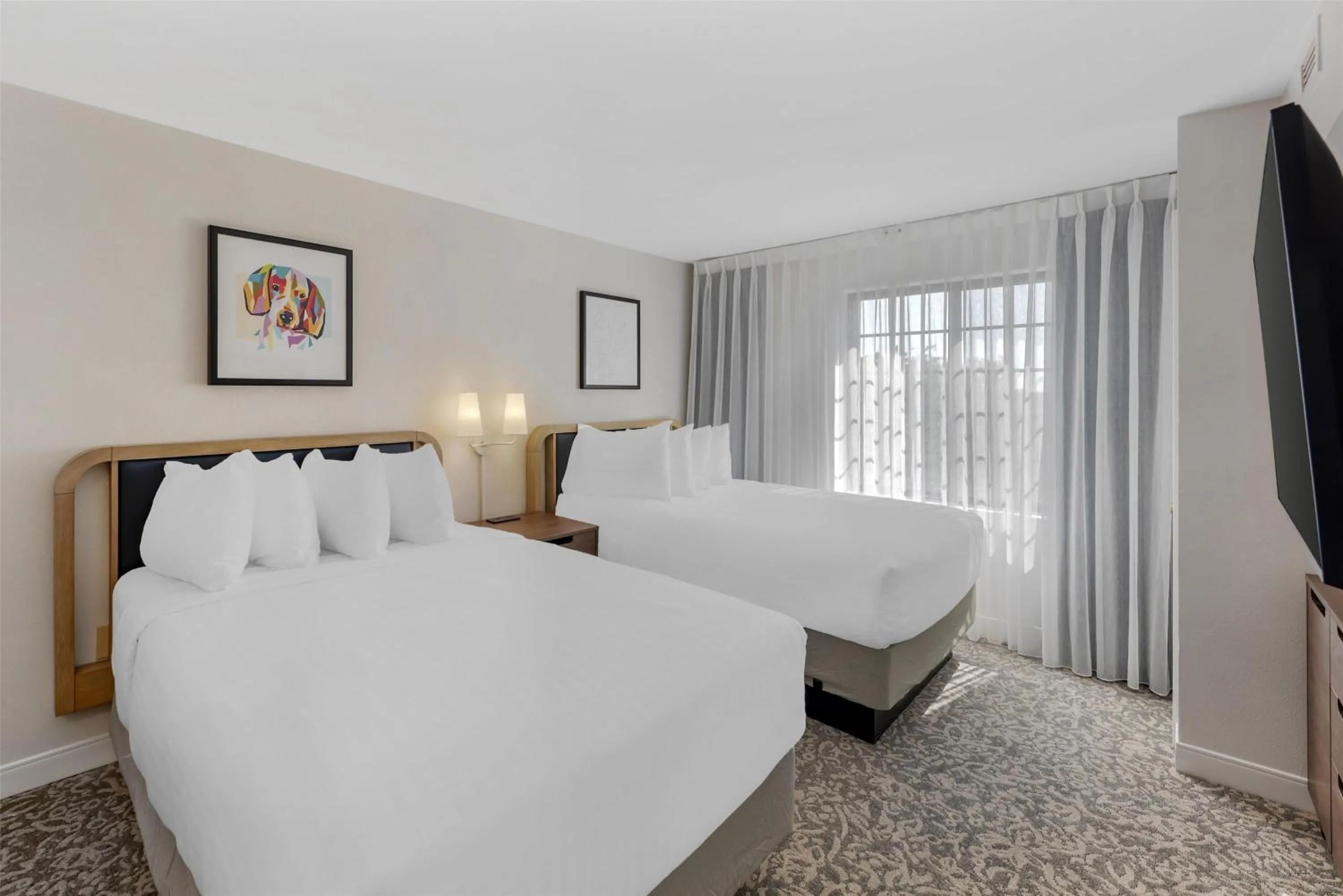 One-Bedroom Suite with Two Double Beds in Sonesta ES Suites Austin The Domain Area - Newly Renovated