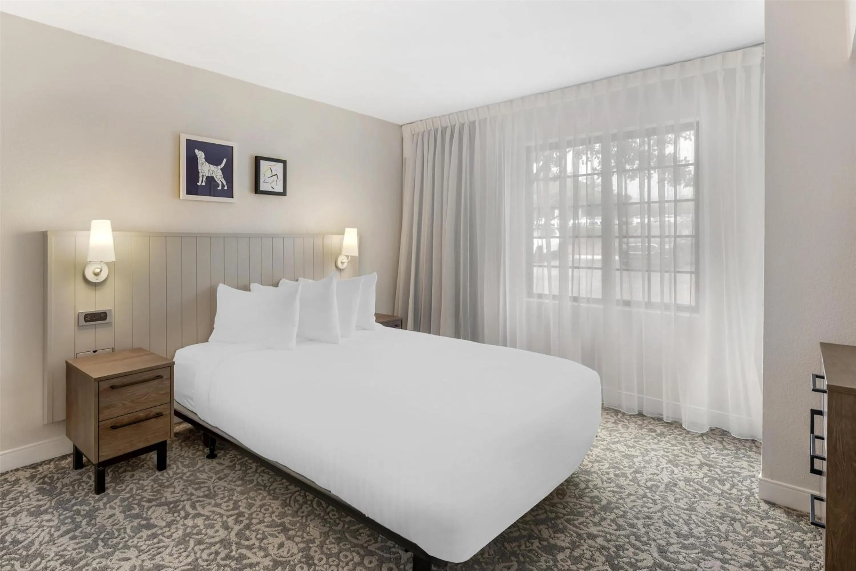 One-Bedroom Queen Suite with Roll-In Shower - Mobility Accessible in Sonesta ES Suites Austin The Domain Area - Newly Renovated
