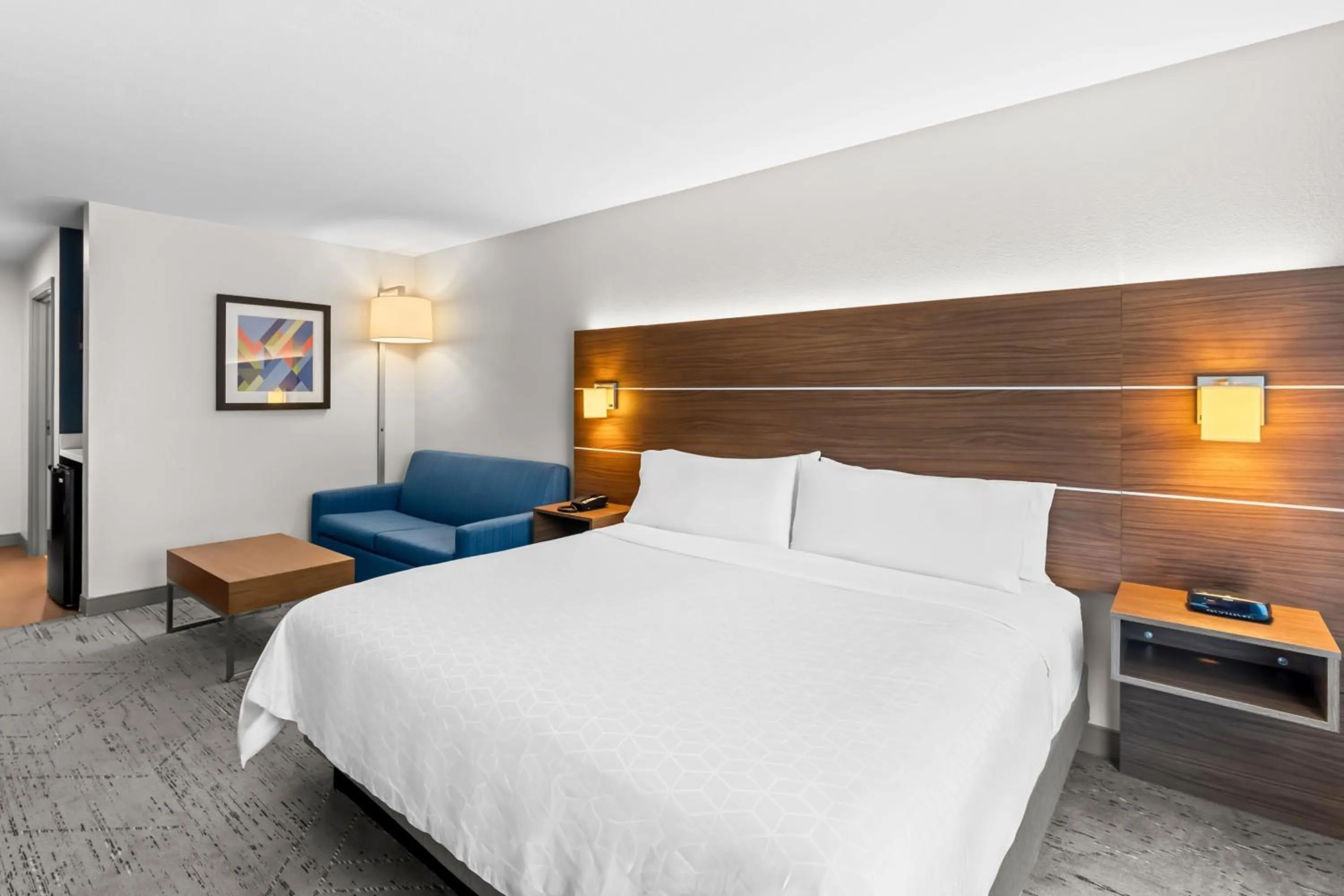 Standard King Room with Sofa Bed - Non-Smoking in Holiday Inn Express & Suites Austin SW - Sunset Valley by IHG