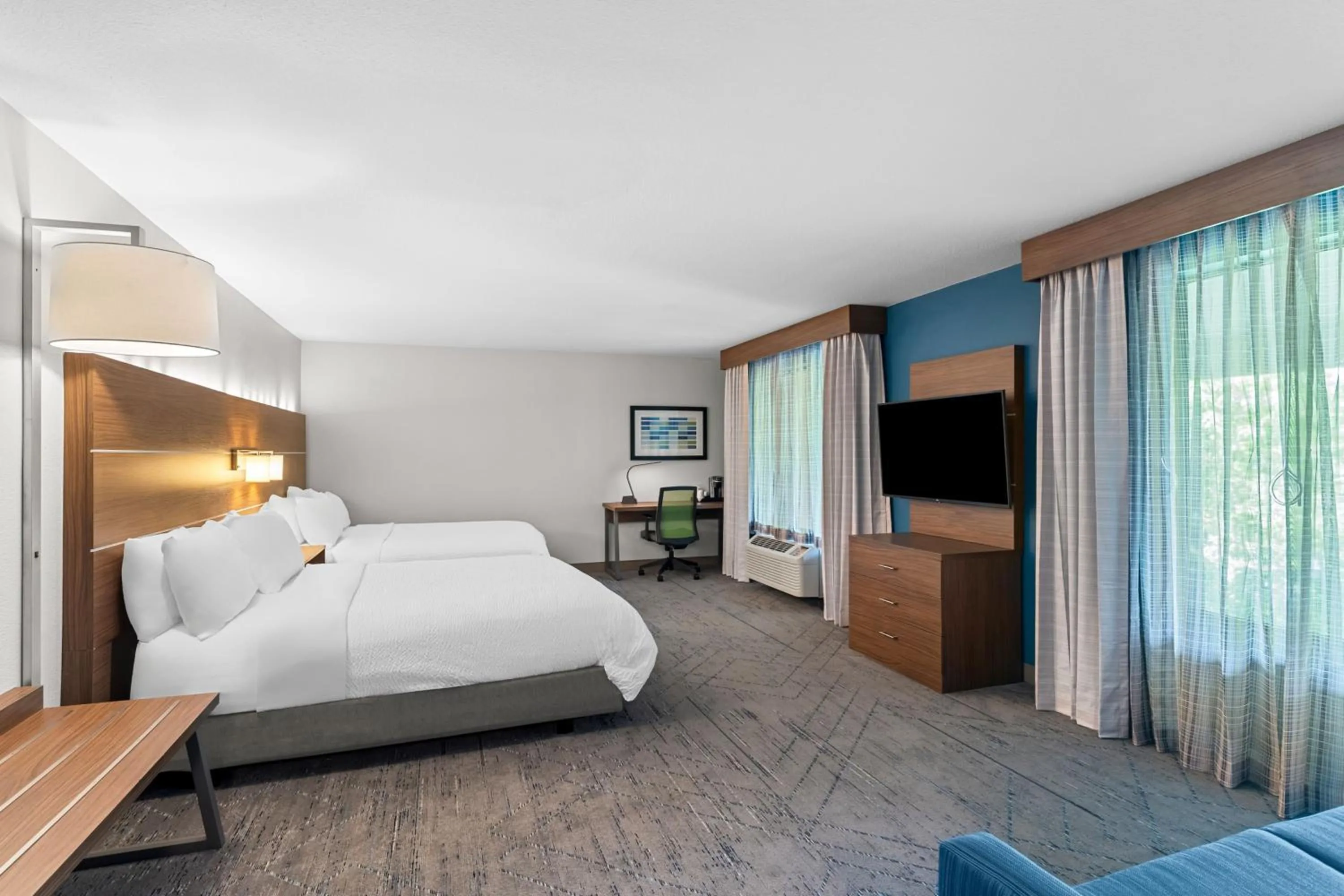 Queen Suite - Disability Access in Holiday Inn Express & Suites Austin SW - Sunset Valley by IHG