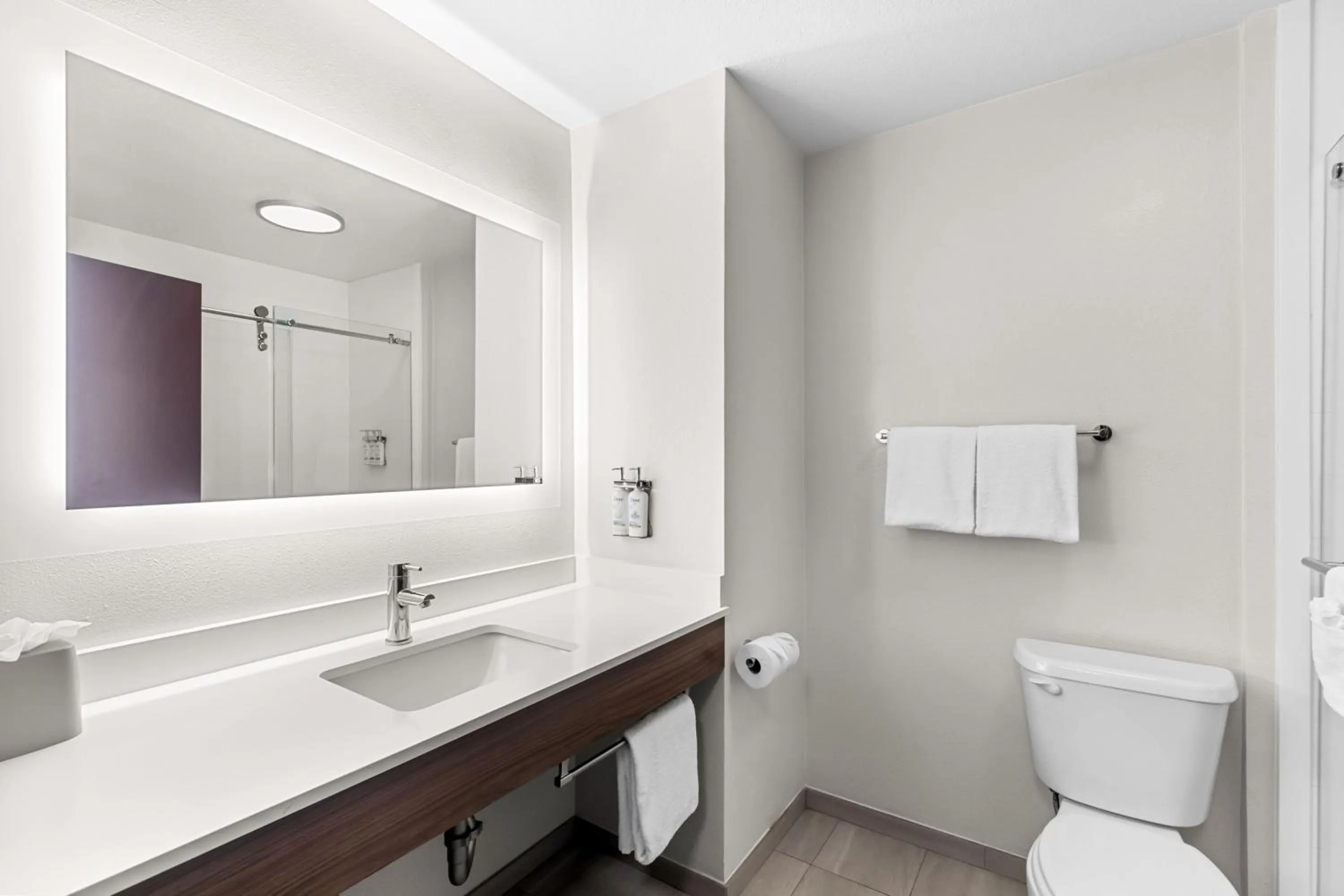 King Suite with Sofa Bed in Holiday Inn Express & Suites Austin SW - Sunset Valley by IHG