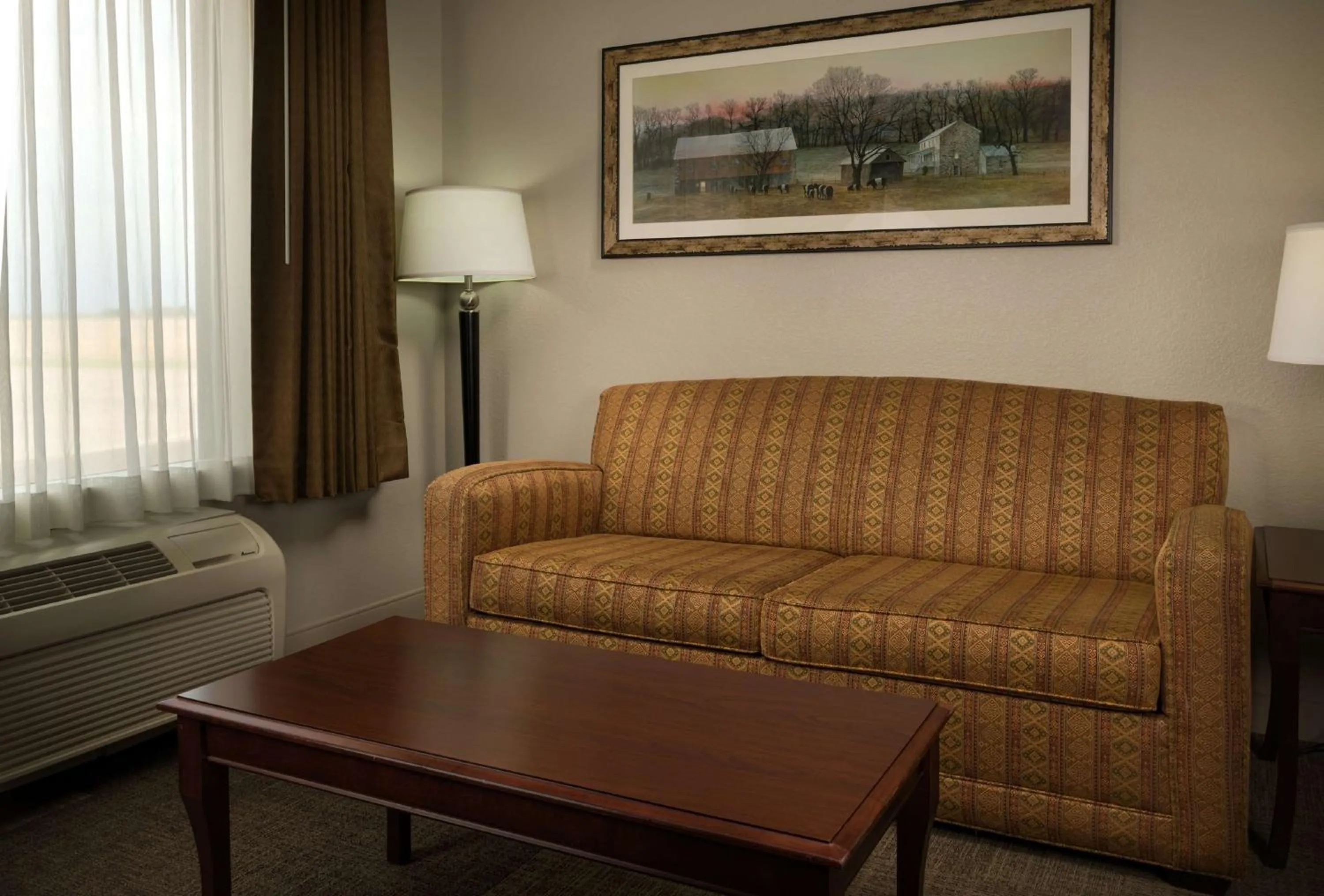 King Studio Suite with Sofa Bed - Non-Smoking in Hampton Inn & Suites Altus
