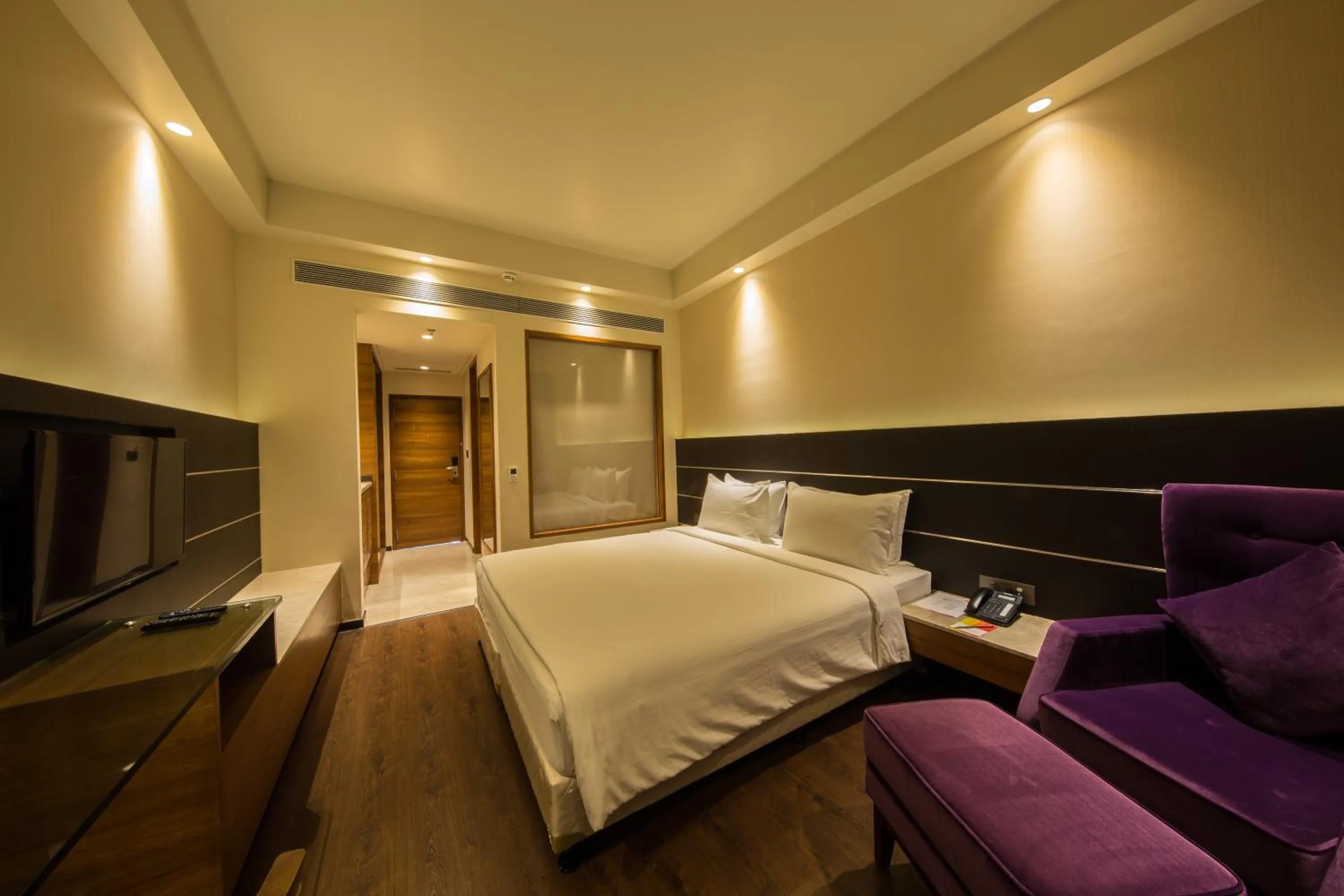 Standard Double Room in Iscon The Fern Resort & Spa, Bhavnagar