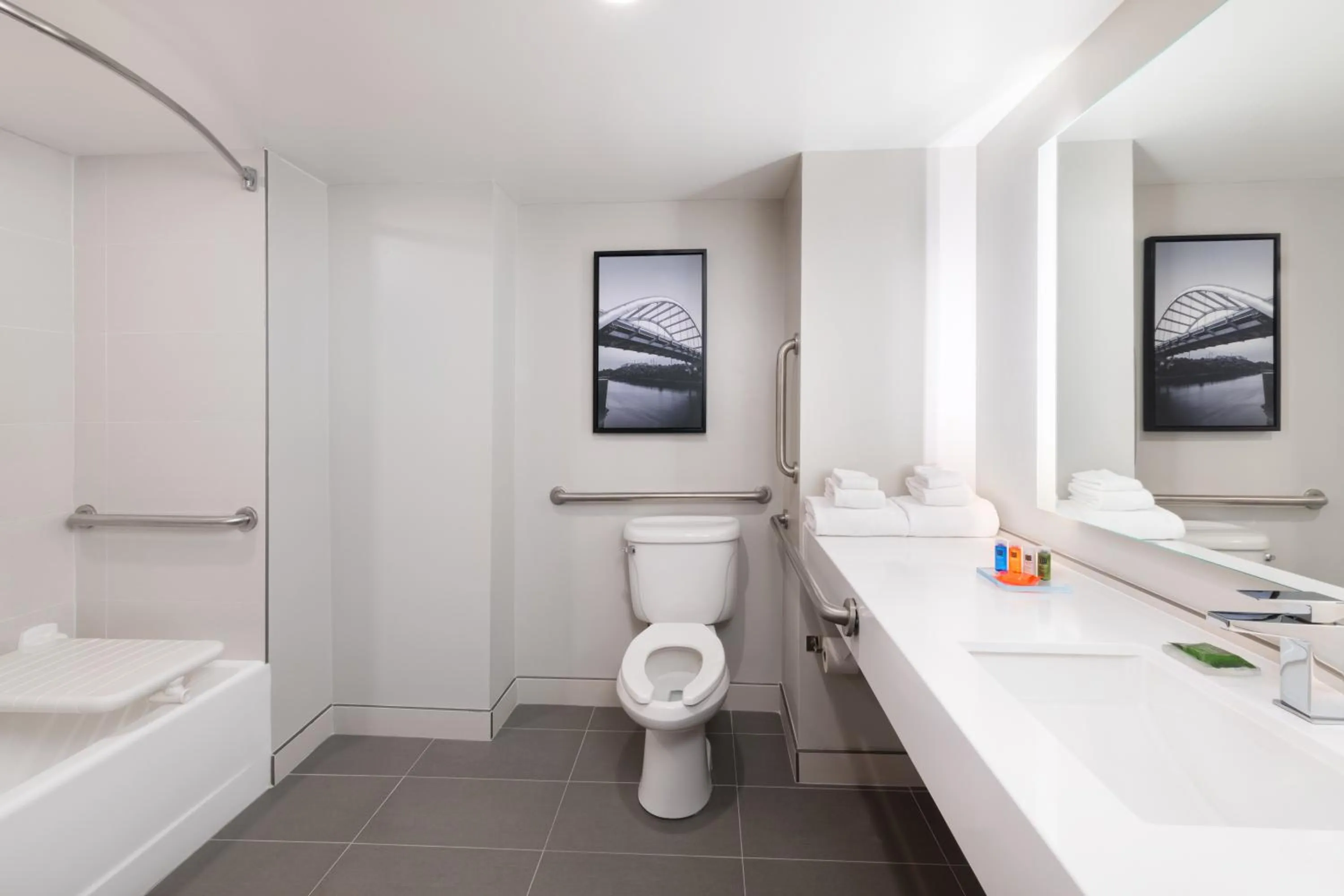 King Room with Roll-in Shower - Disability Access/Non-Smoking in Radisson Hotel Nashville Airport