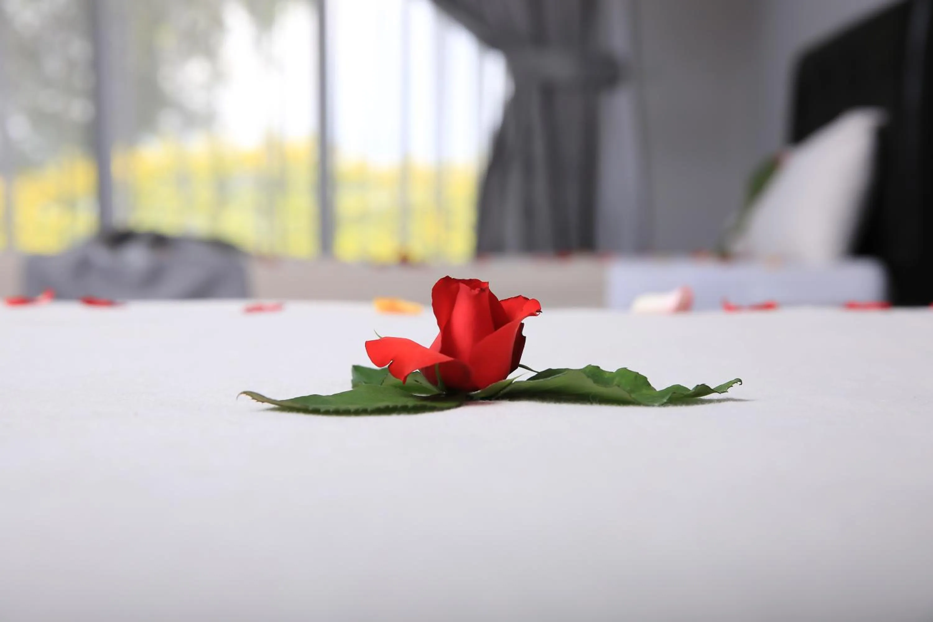 Standard Twin Room in Haile Resort Ziway Batu